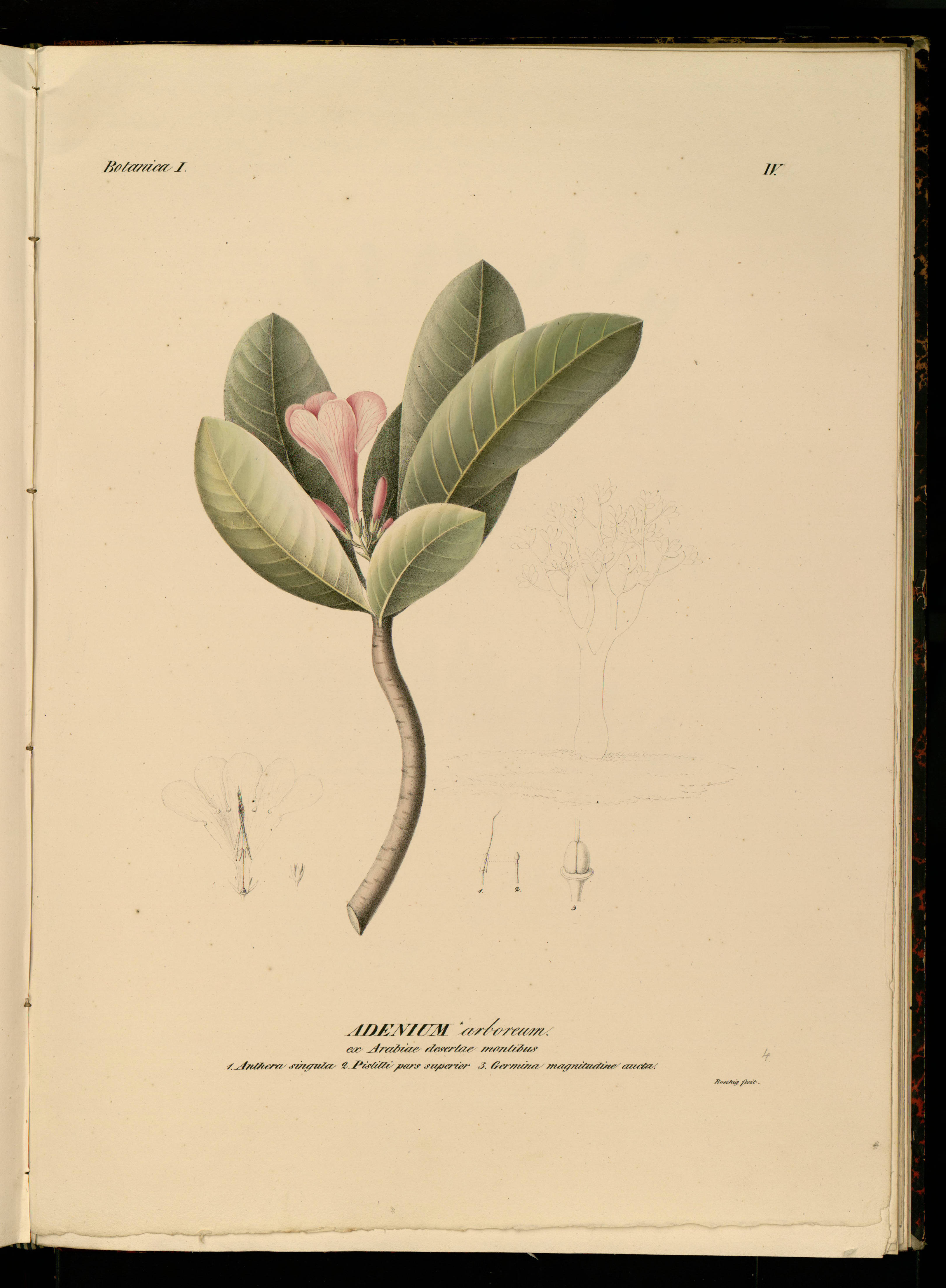 no full size  illustration available (3a)