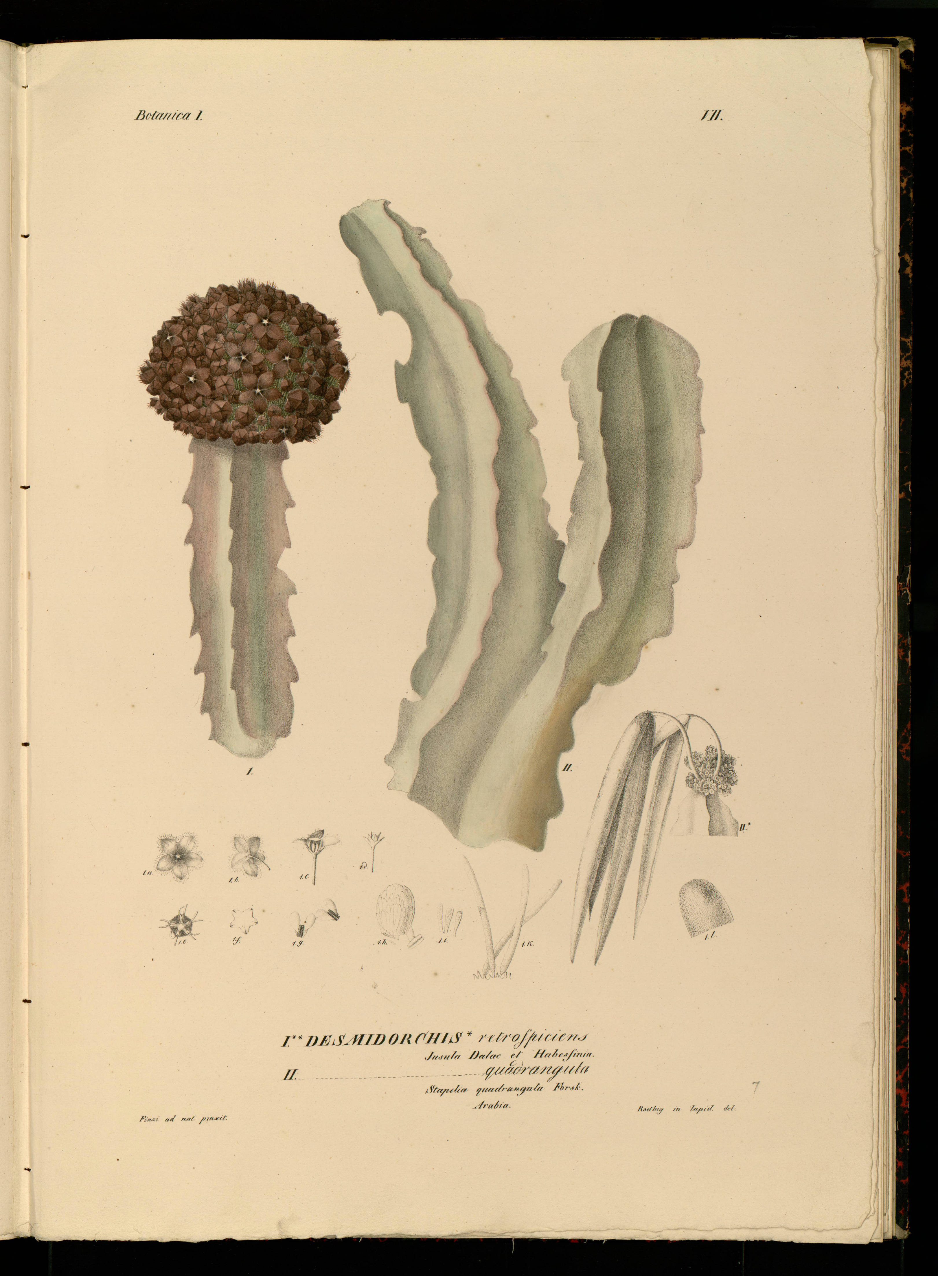 no full size  illustration available (3a)