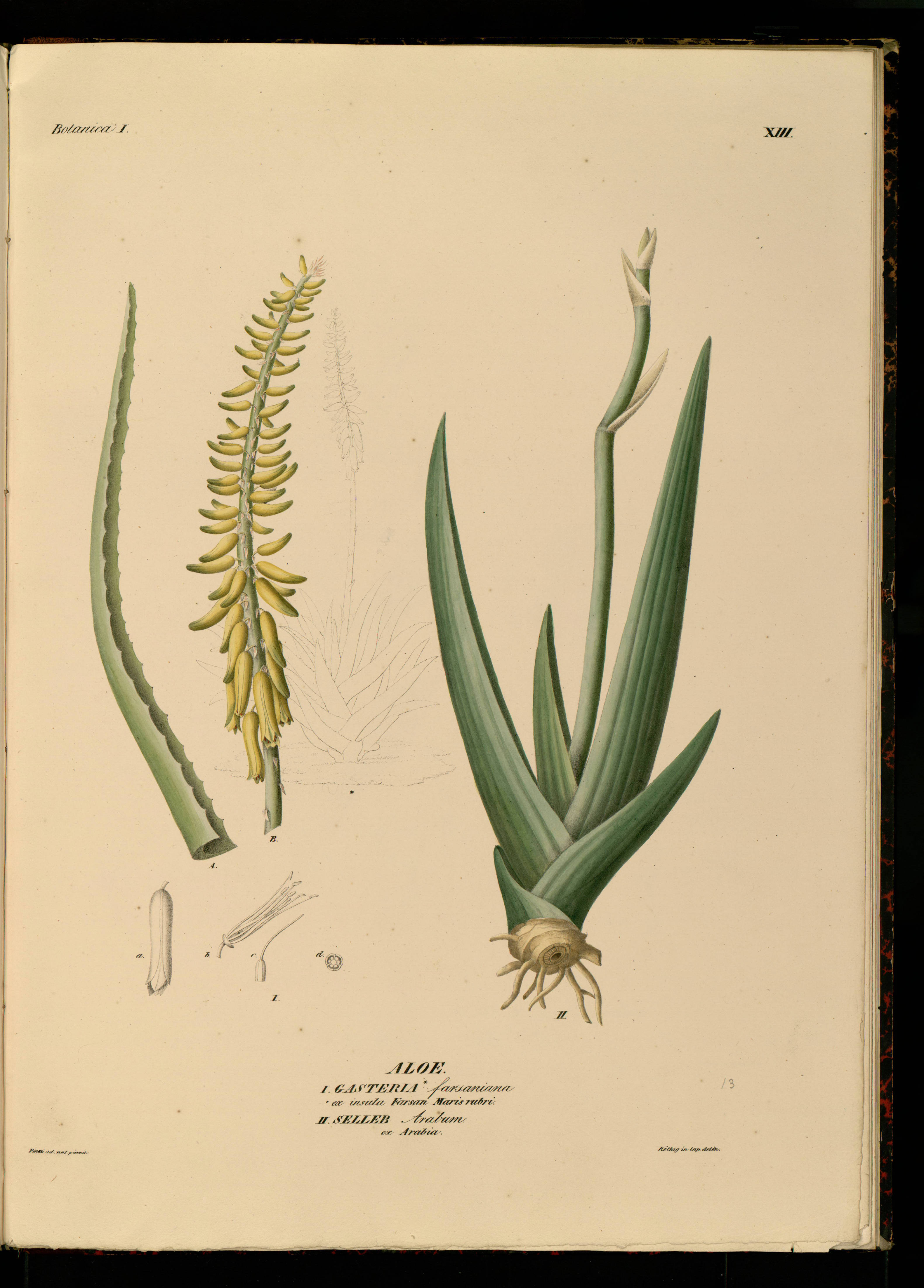 no full size  illustration available (3a)