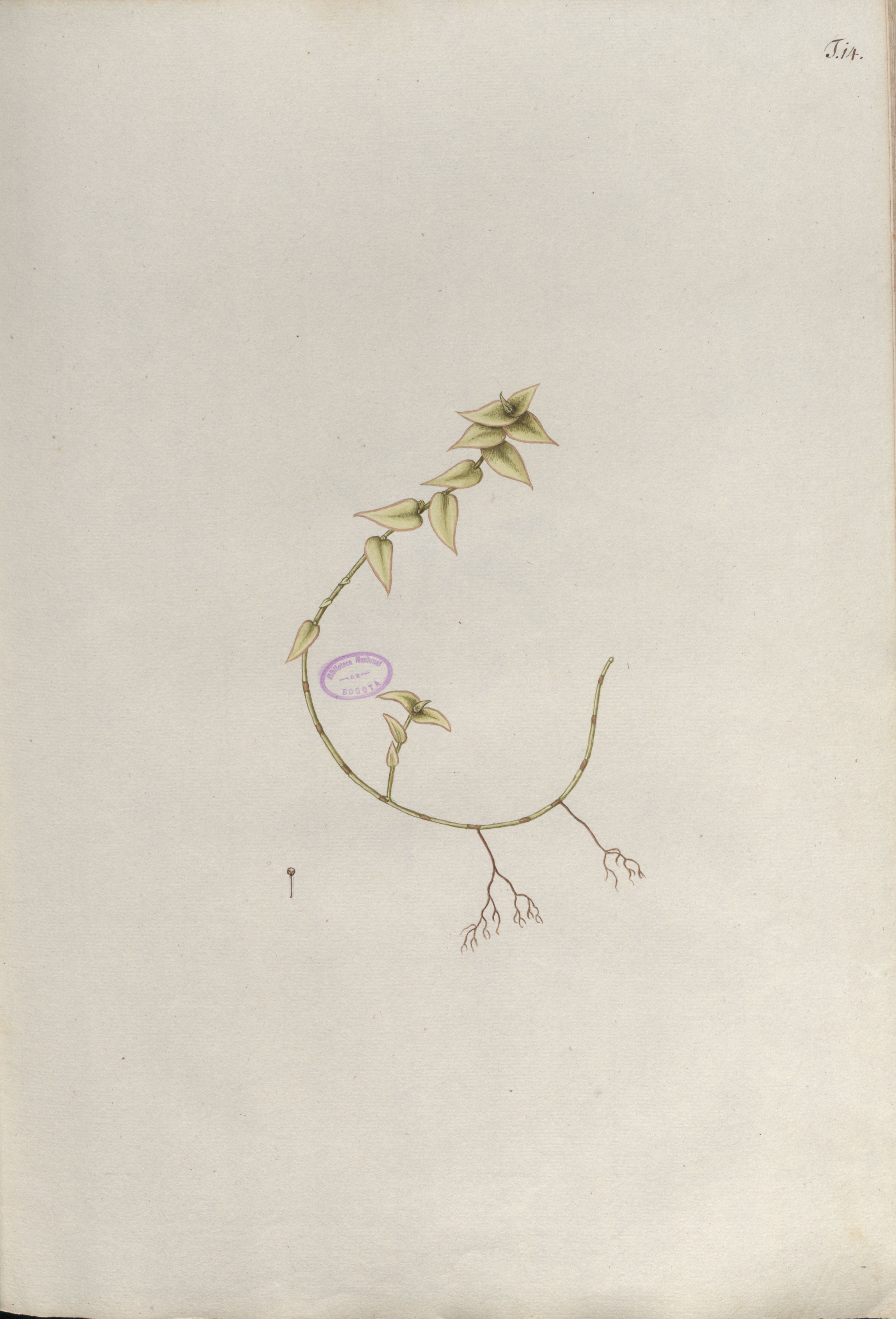 no full size  illustration available (3a)