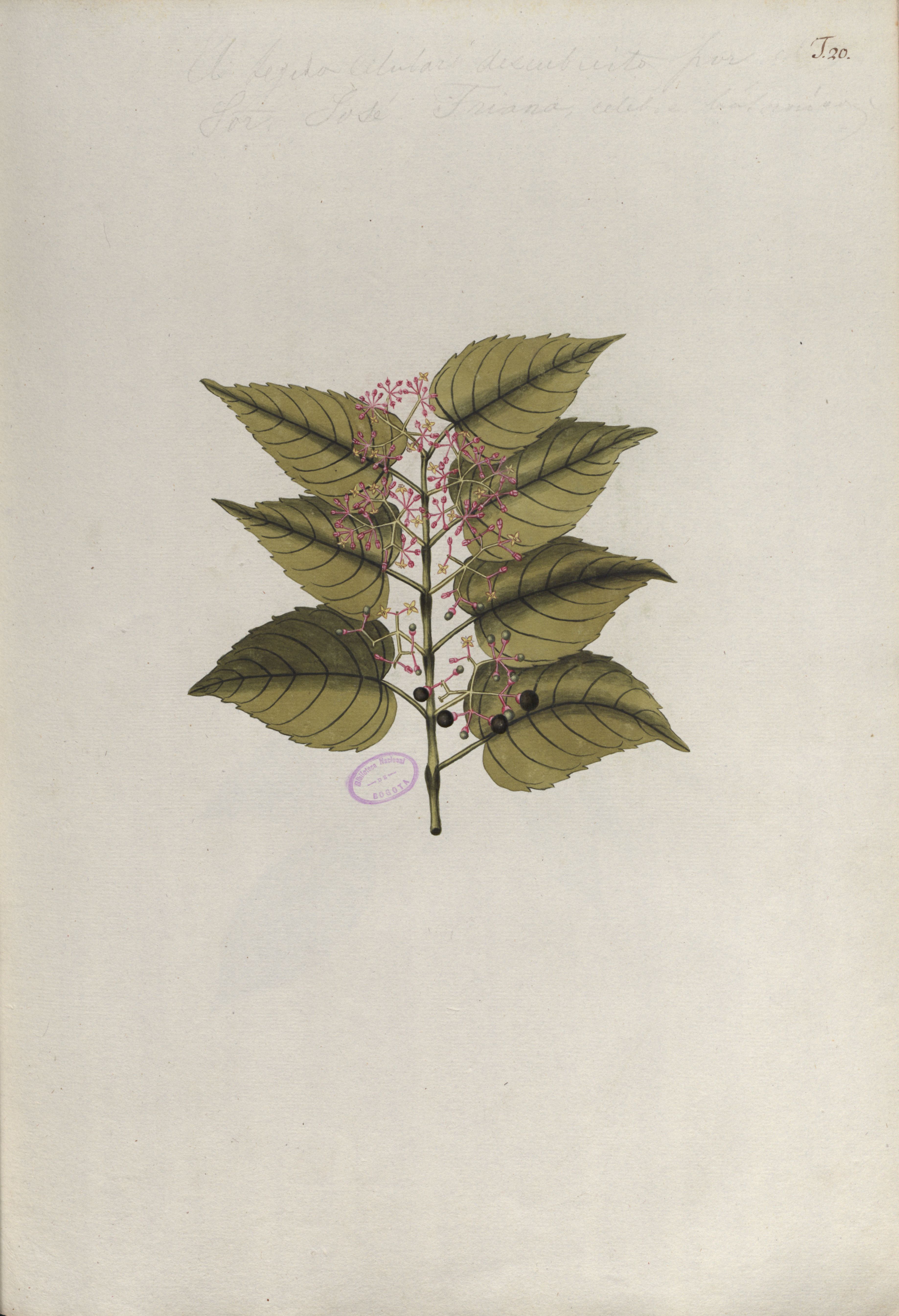 no full size  illustration available (3a)