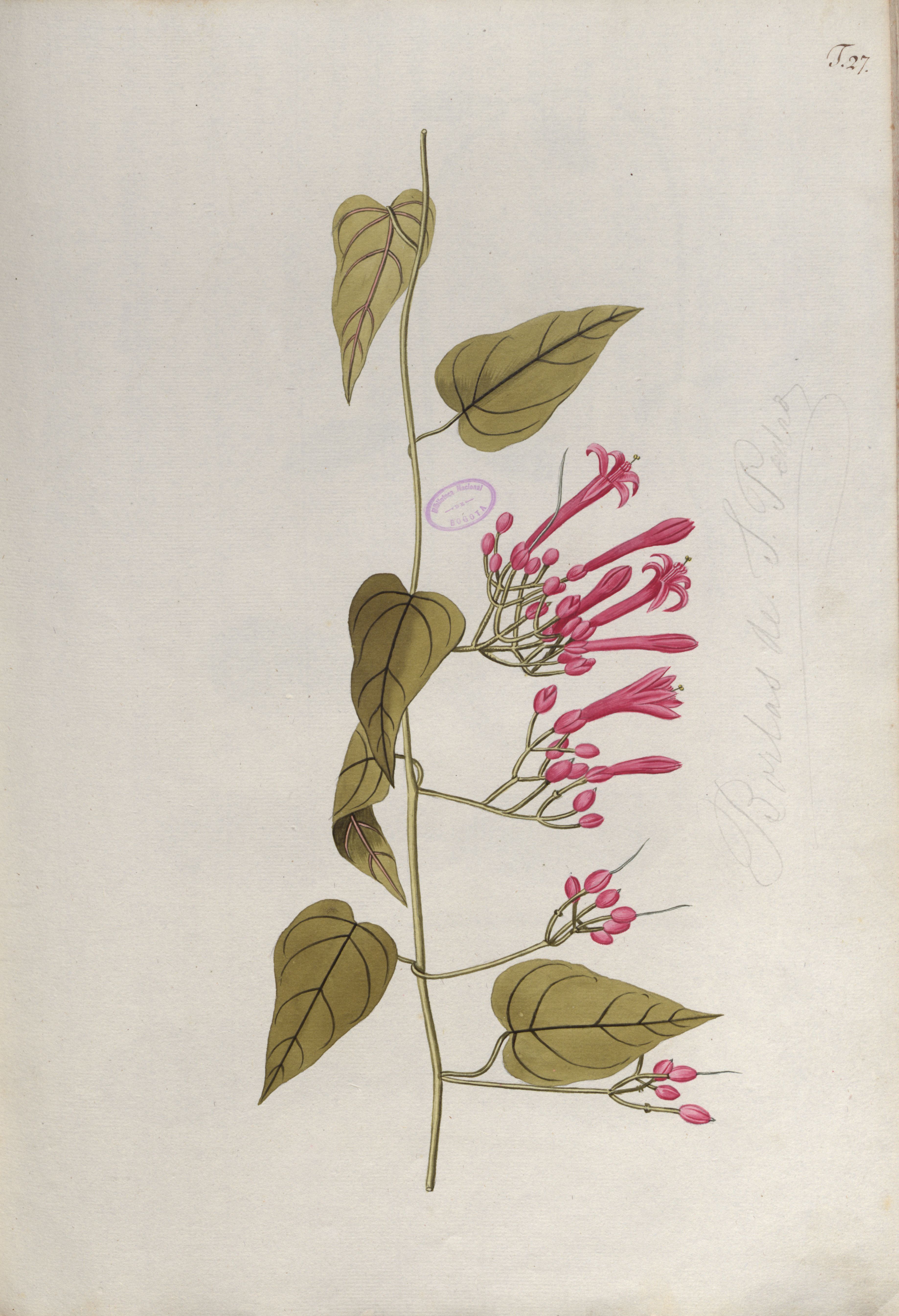 no full size  illustration available (3a)