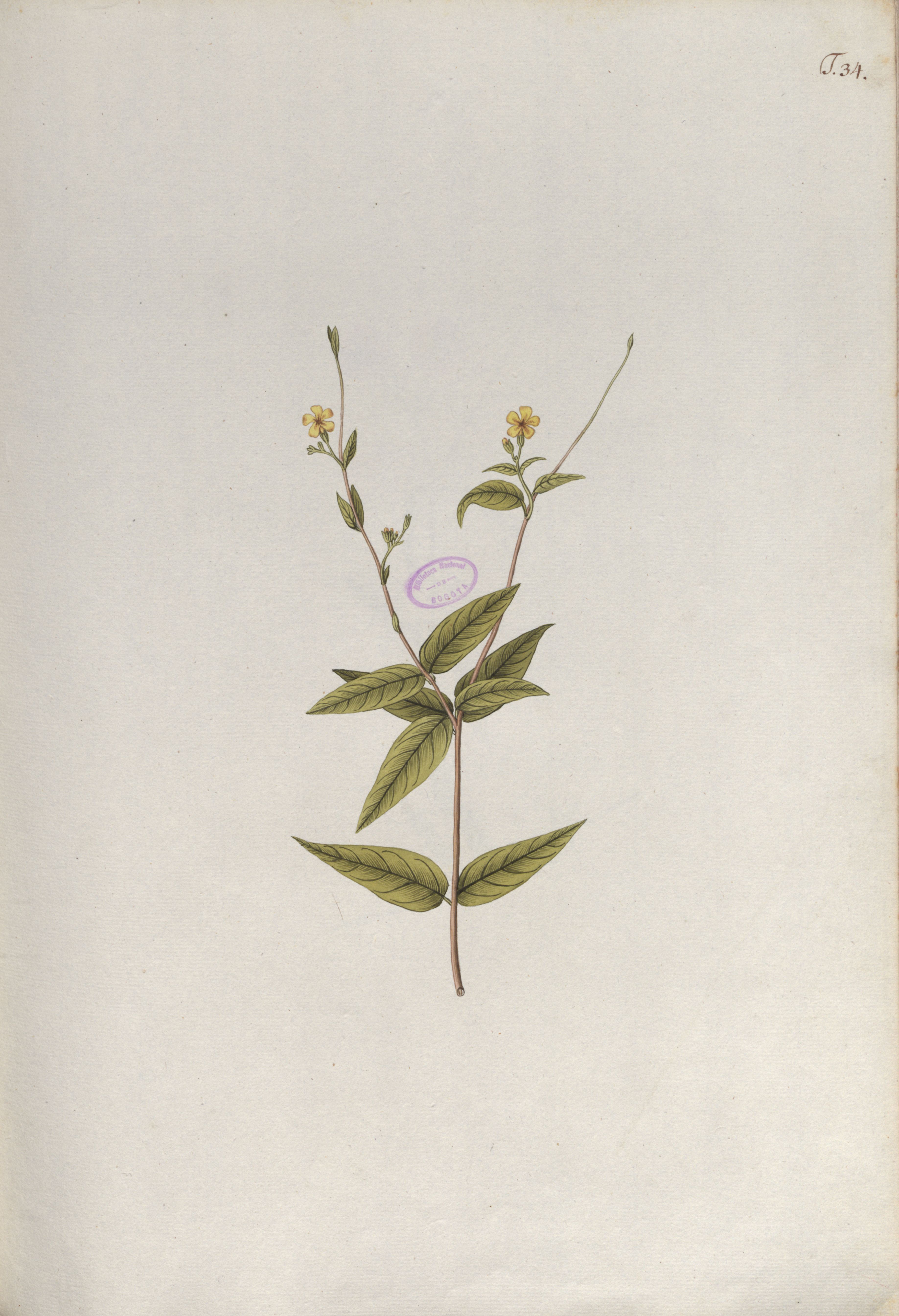 no full size  illustration available (3a)