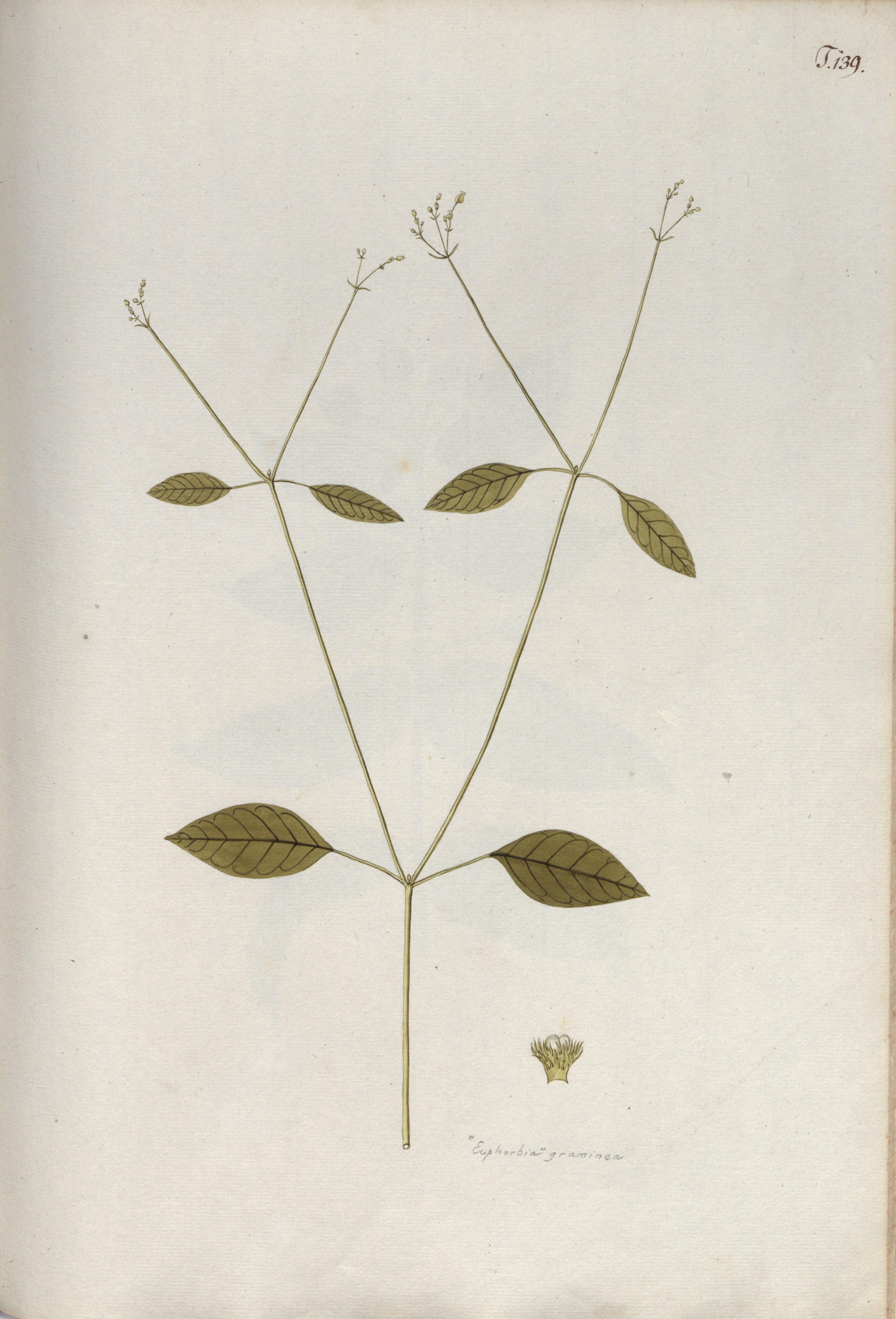 no full size  illustration available (3a)