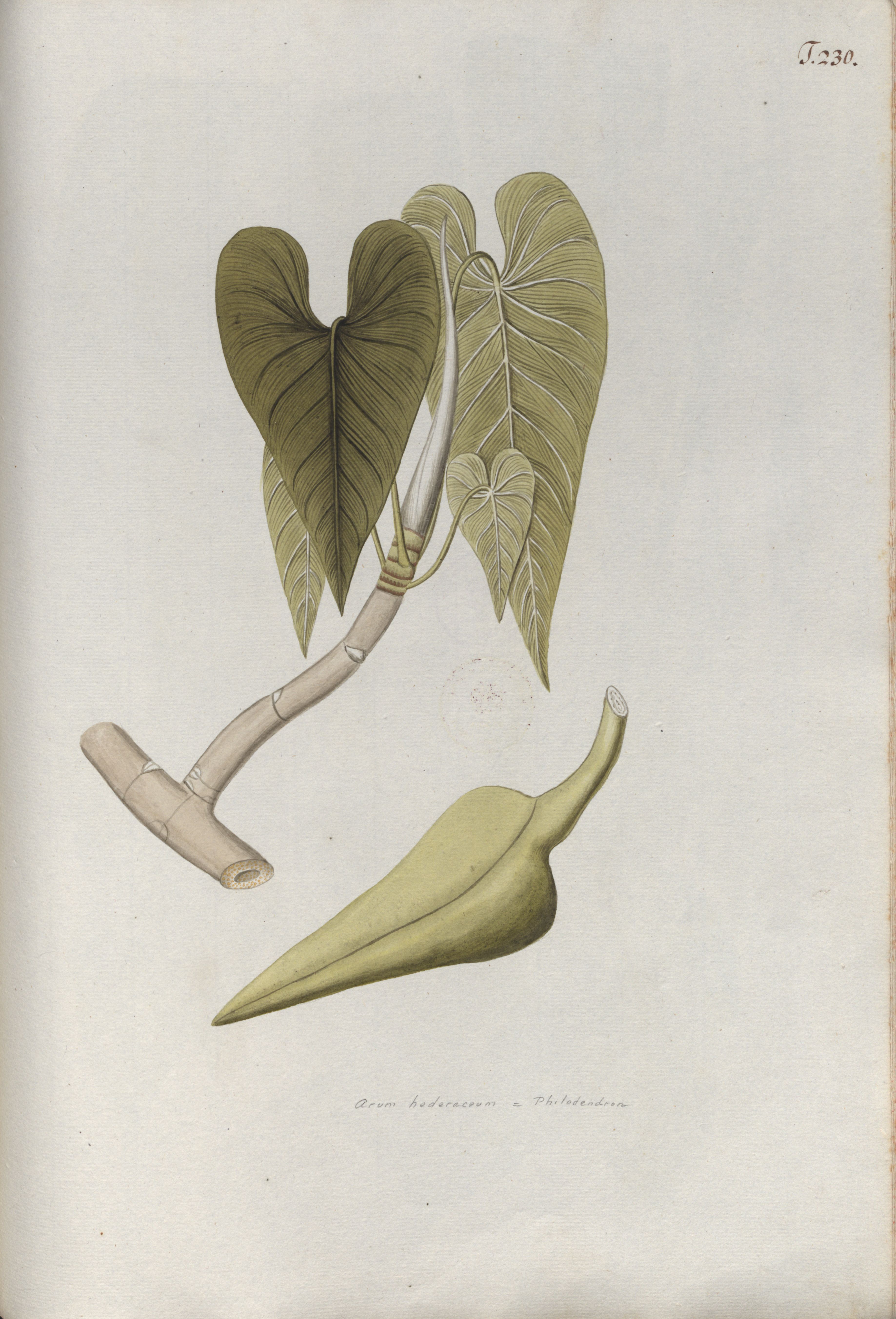 no full size  illustration available (3a)