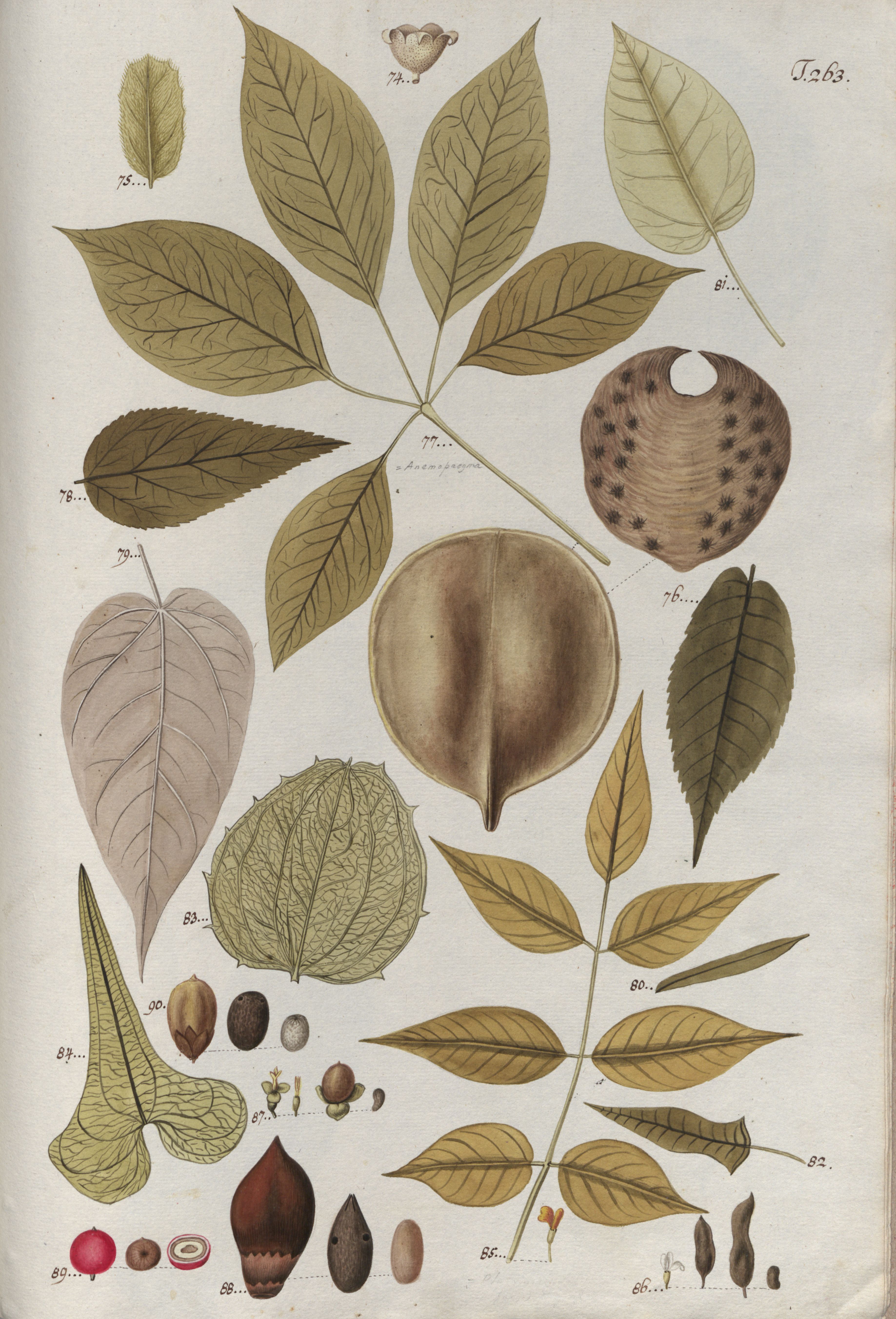 no full size  illustration available (3a)