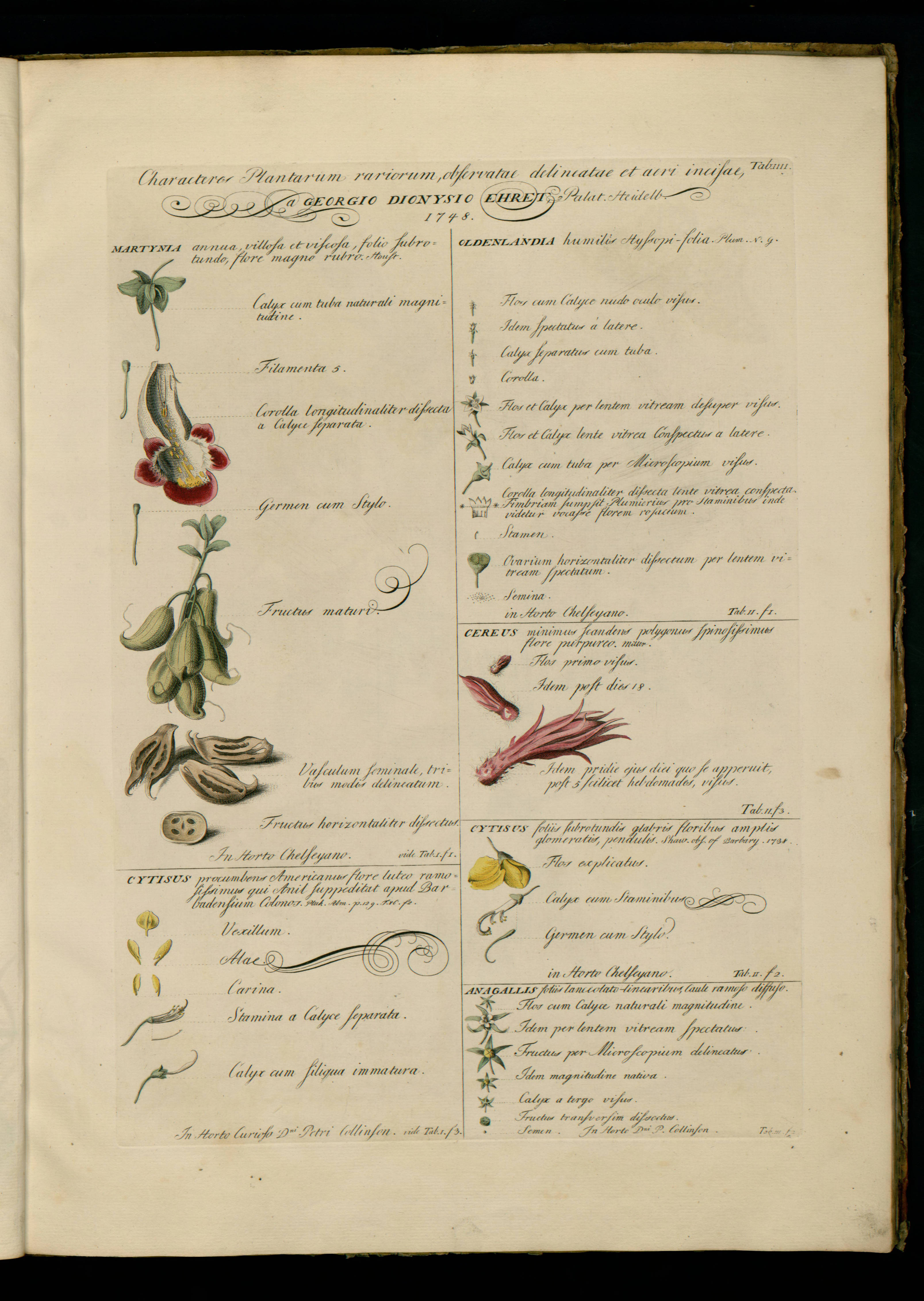 no full size  illustration available (3a)