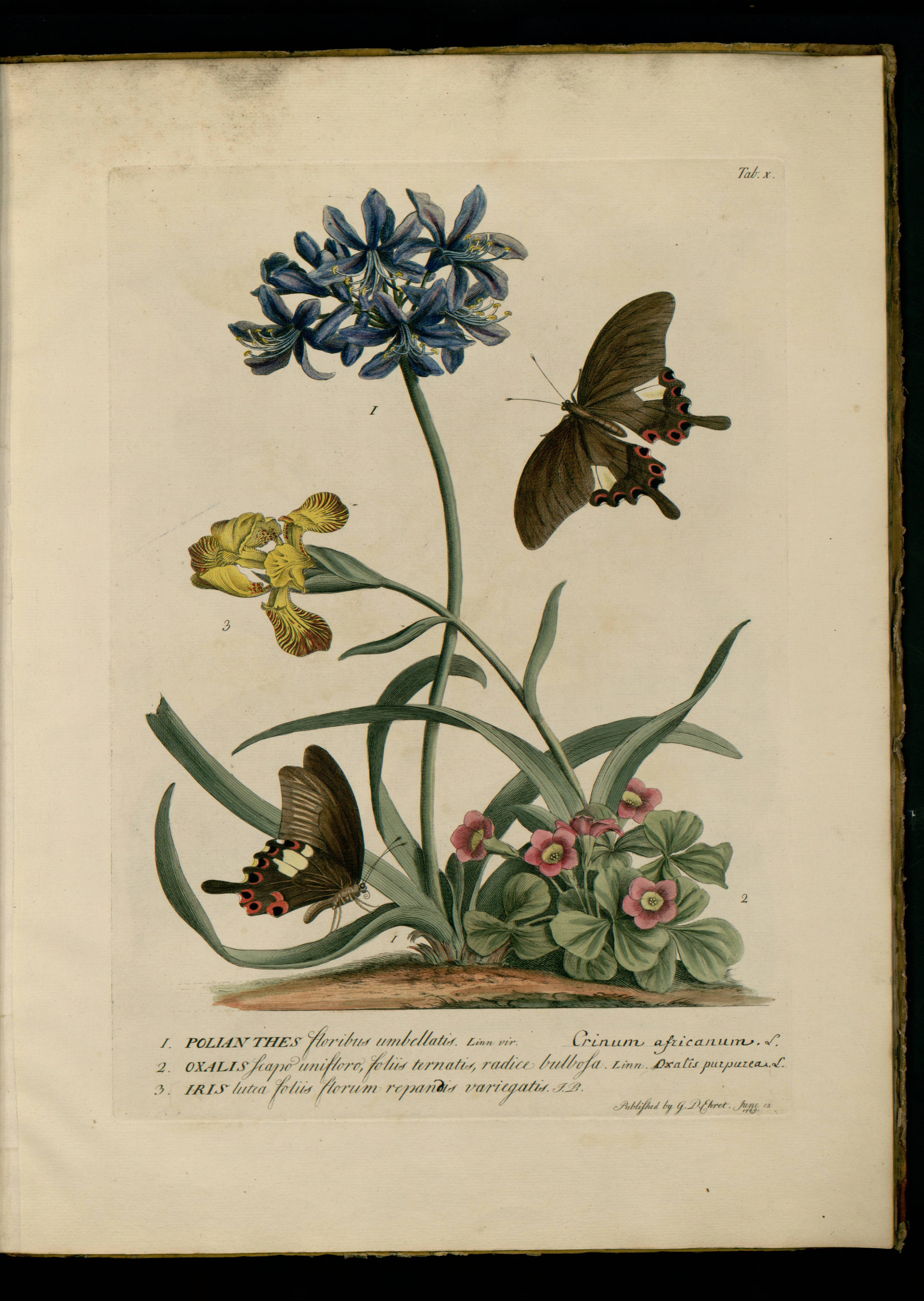 no full size  illustration available (3a)