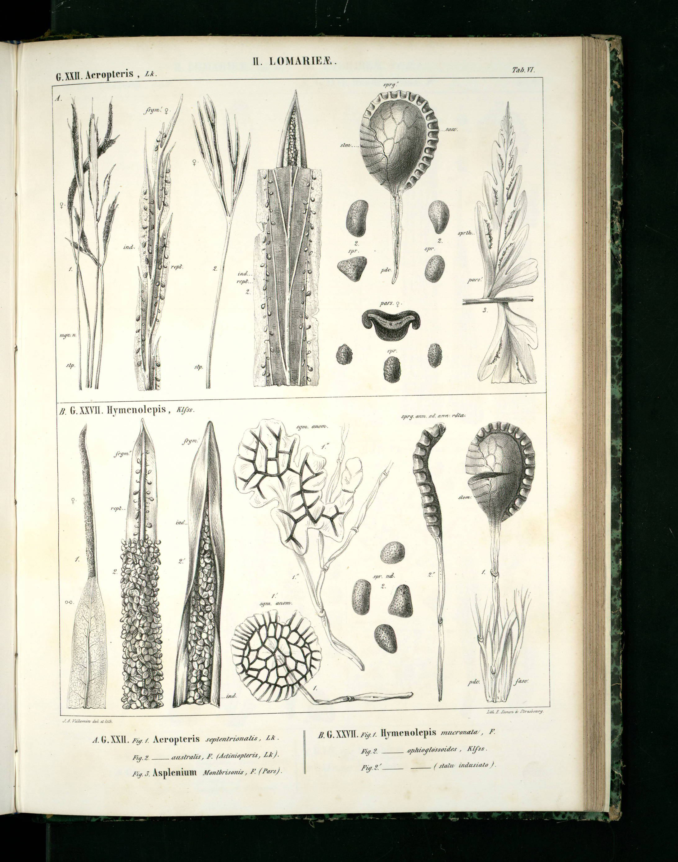 no full size  illustration available (3a)