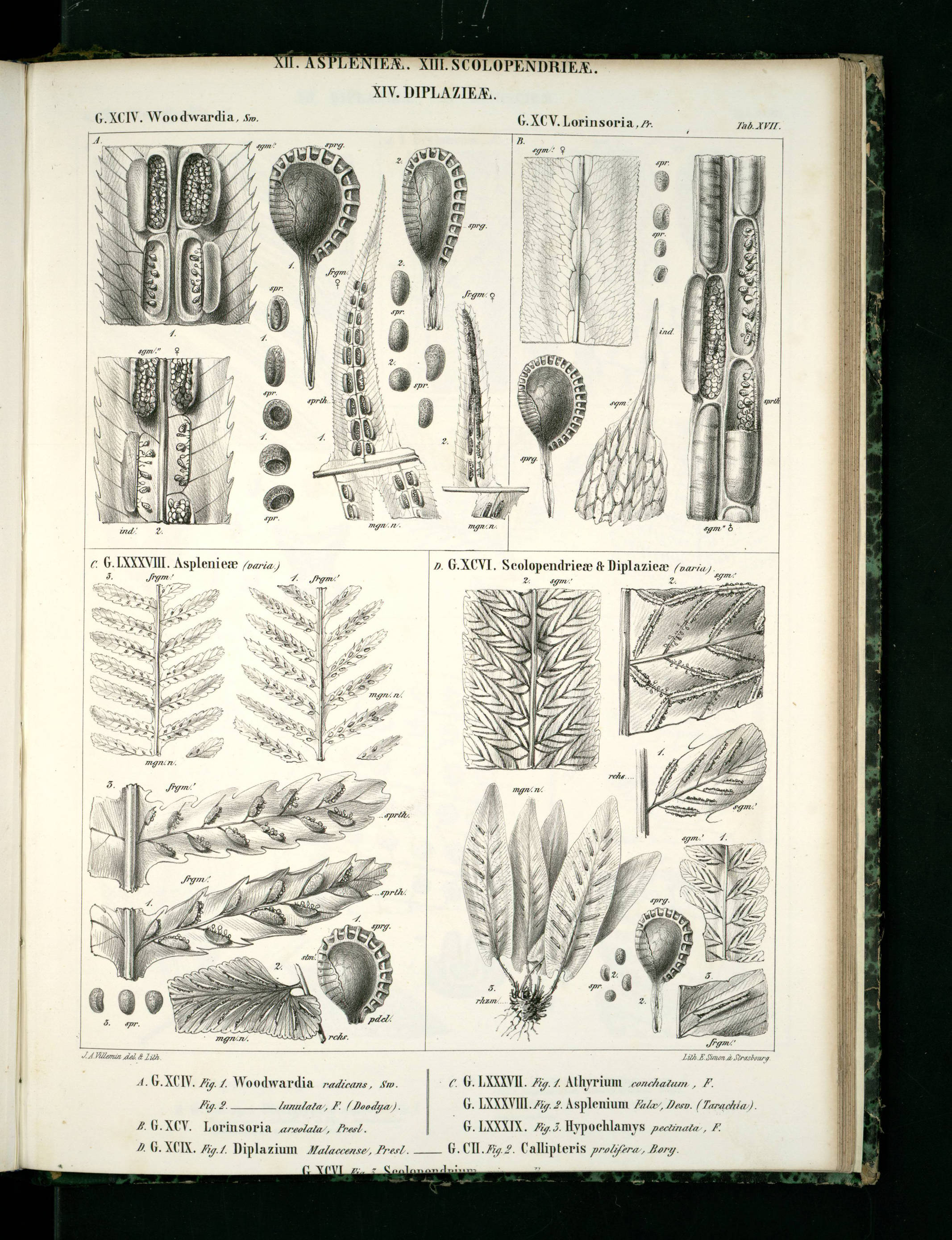 no full size  illustration available (3a)