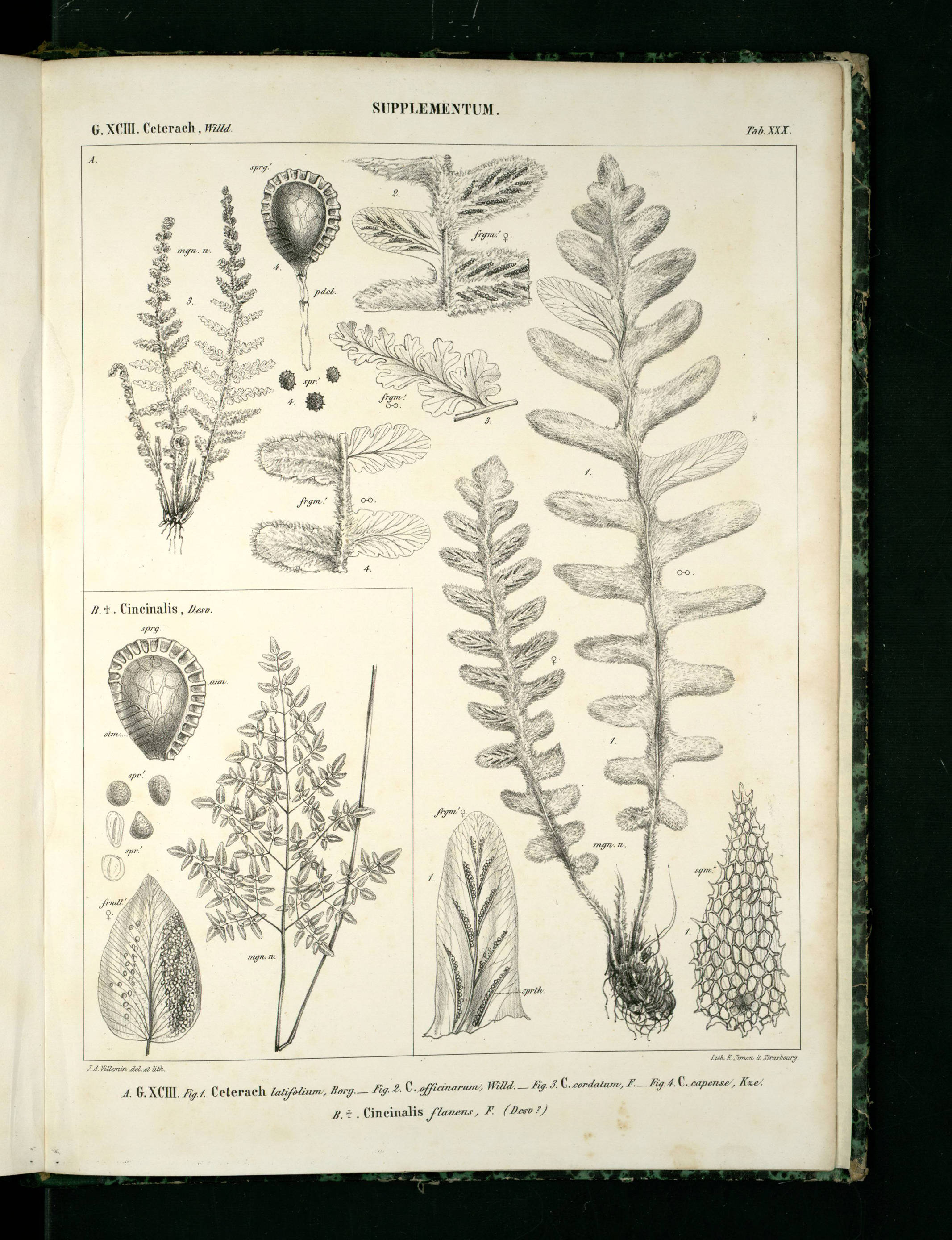 no full size  illustration available (3a)