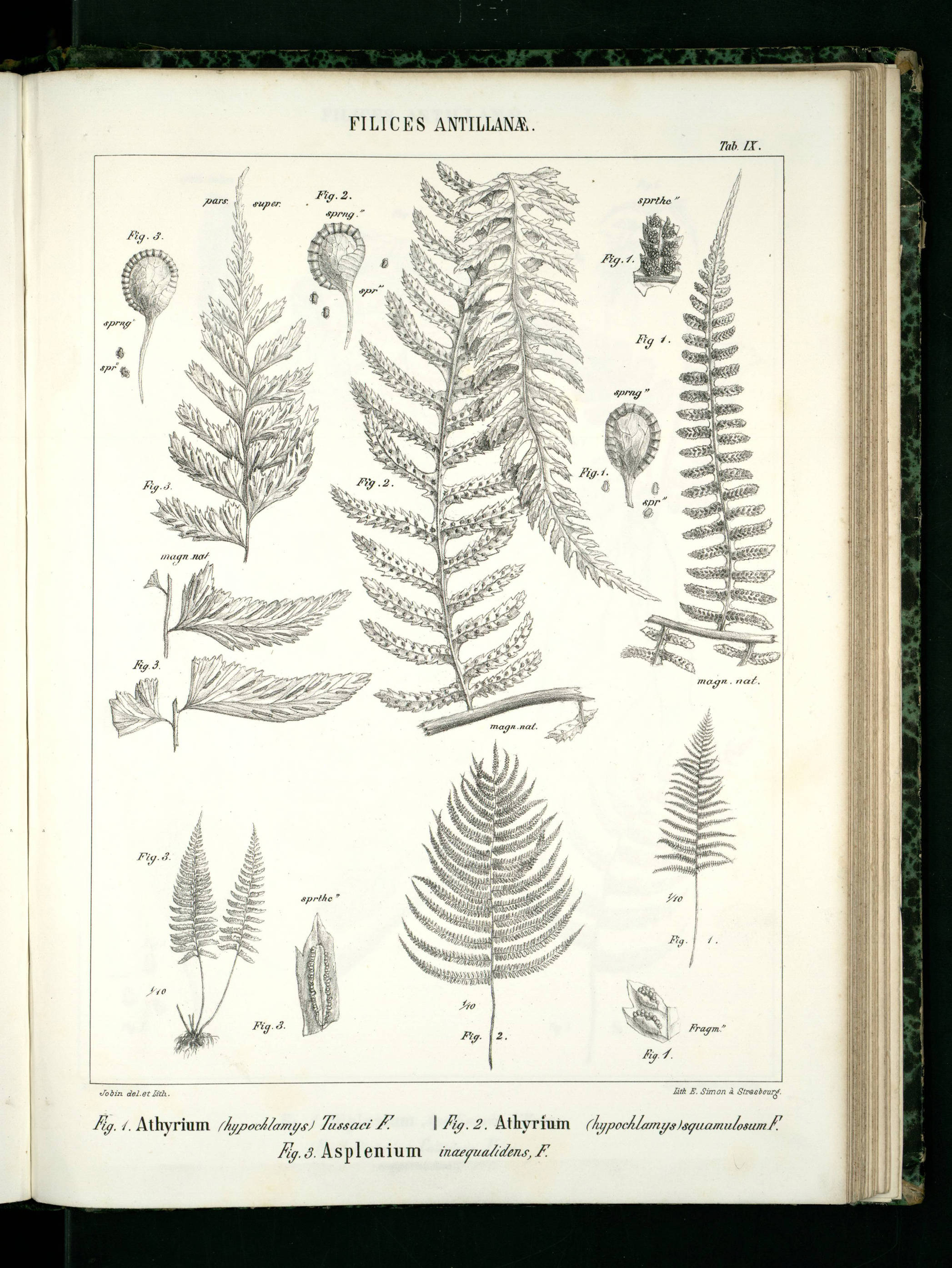 no full size  illustration available (3a)