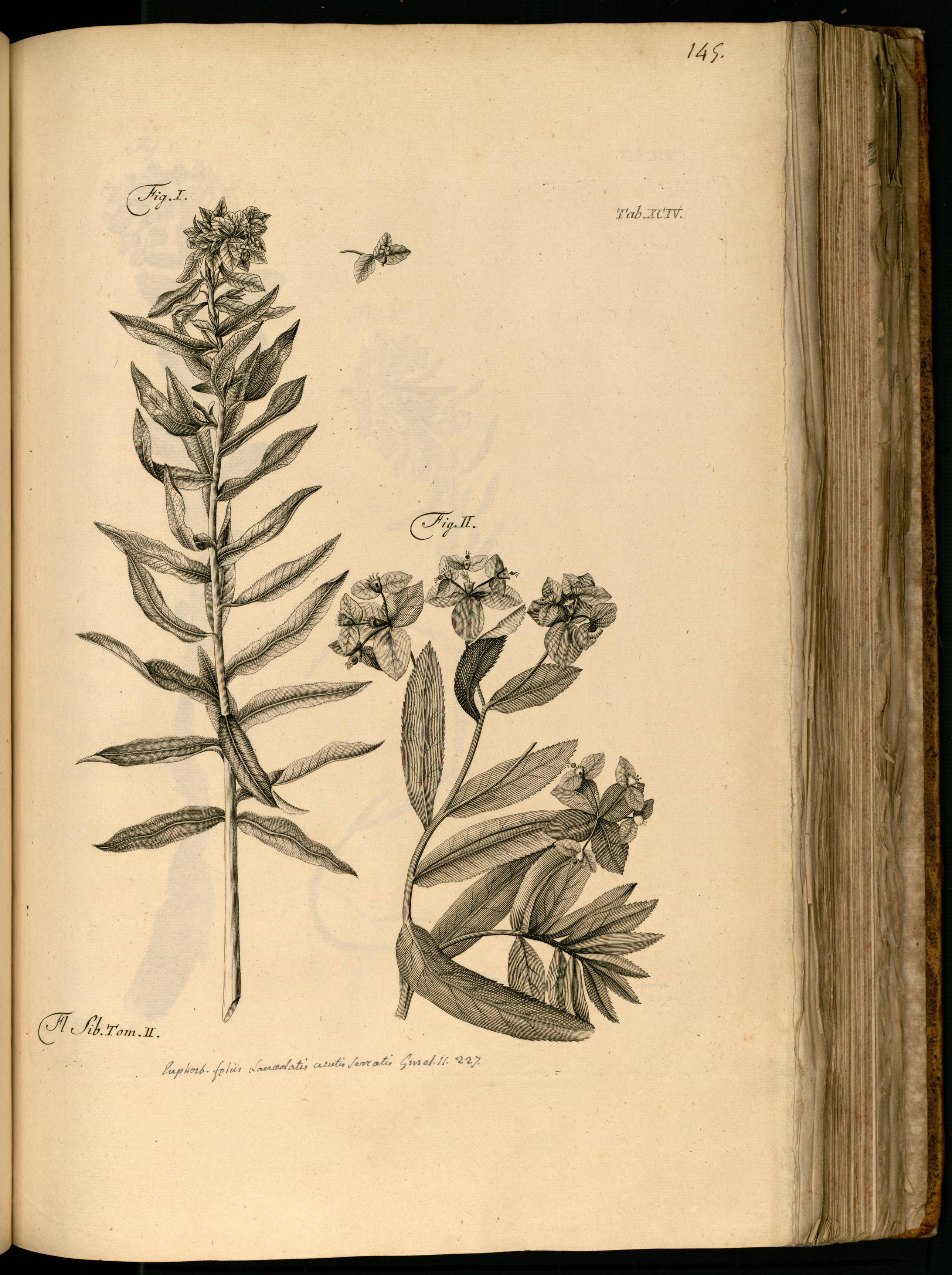 no full size  illustration available (3a)