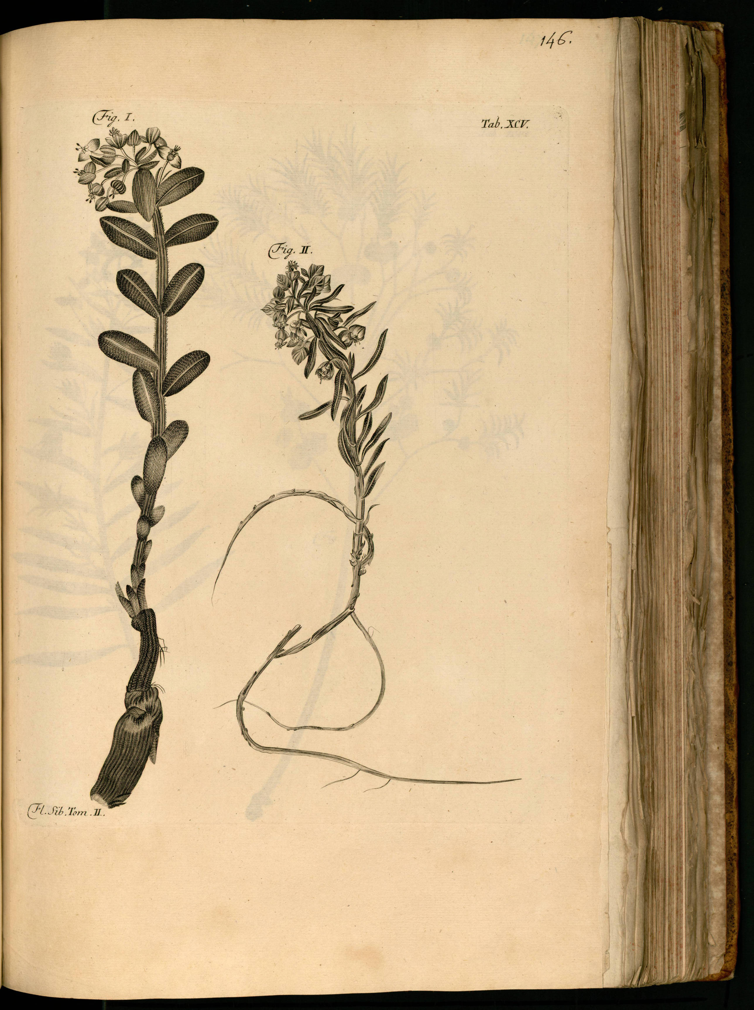 no full size  illustration available (3a)