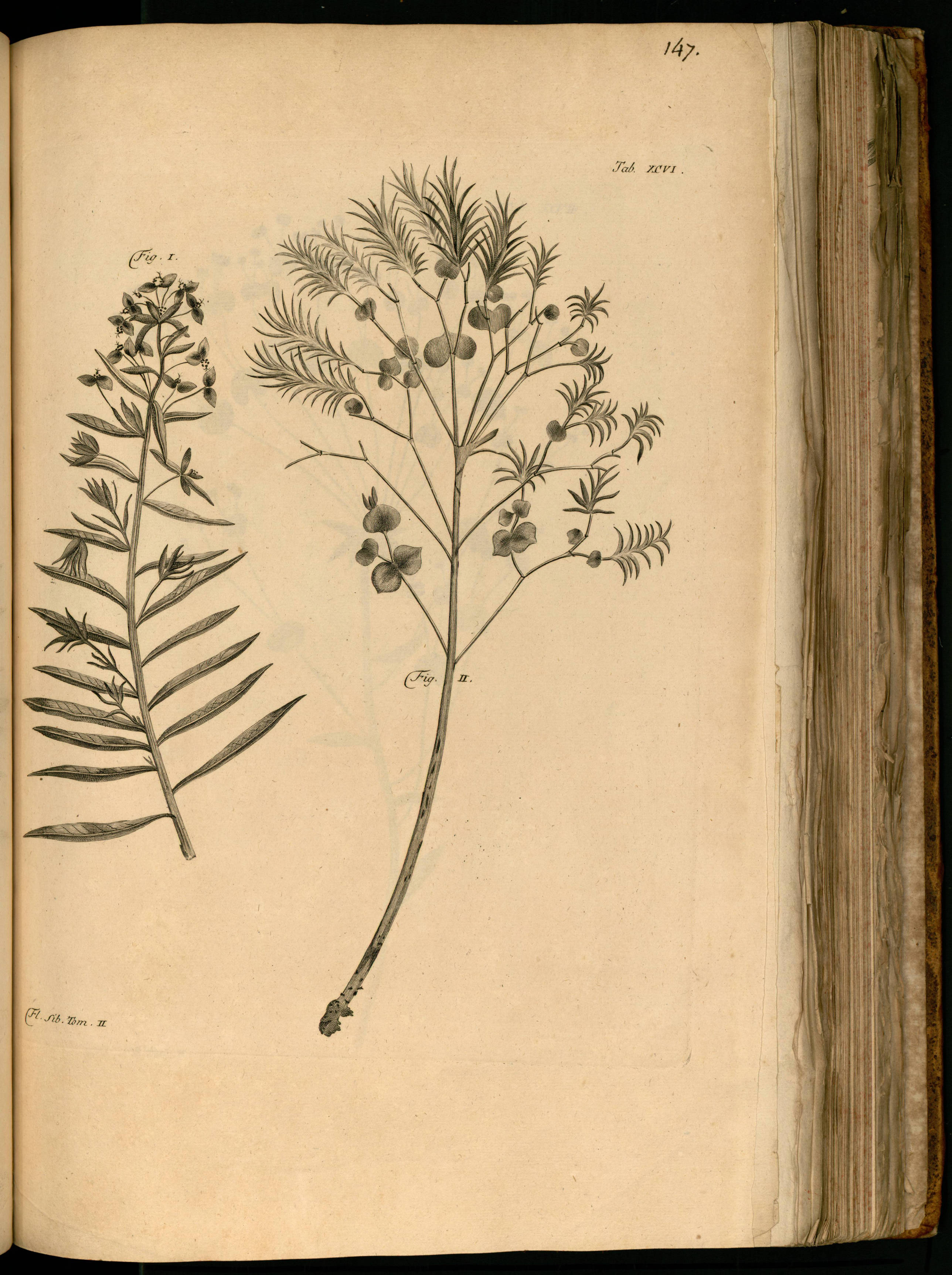 no full size  illustration available (3a)