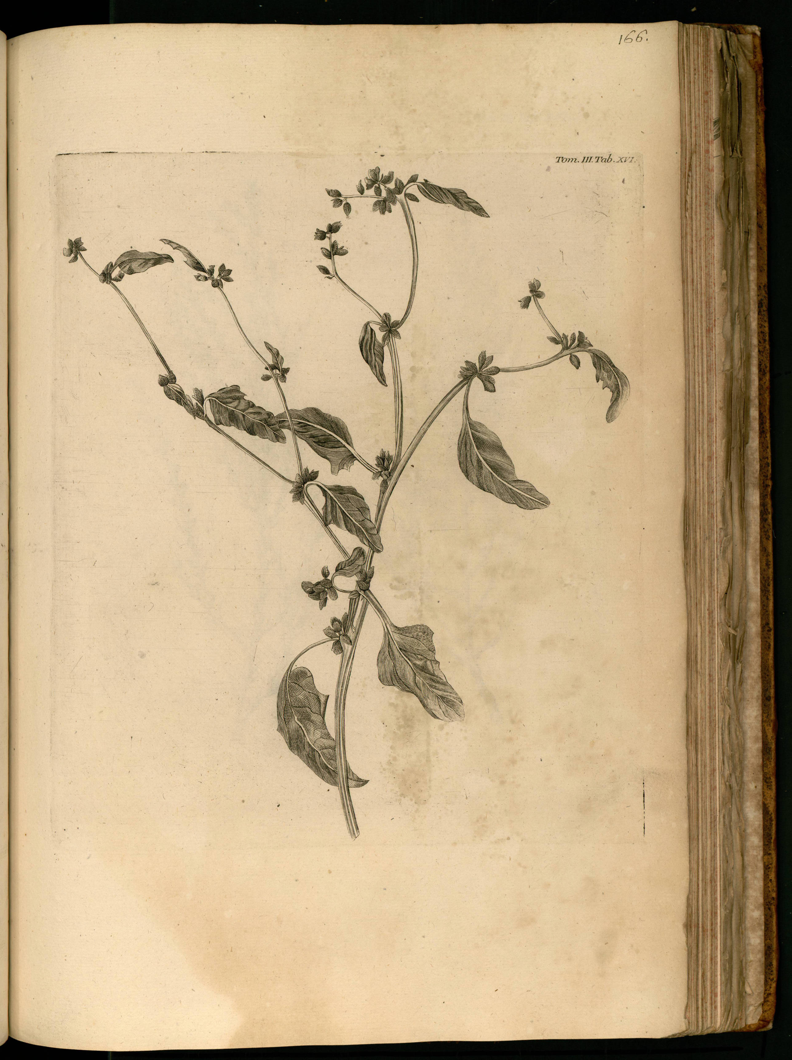 no full size  illustration available (3a)