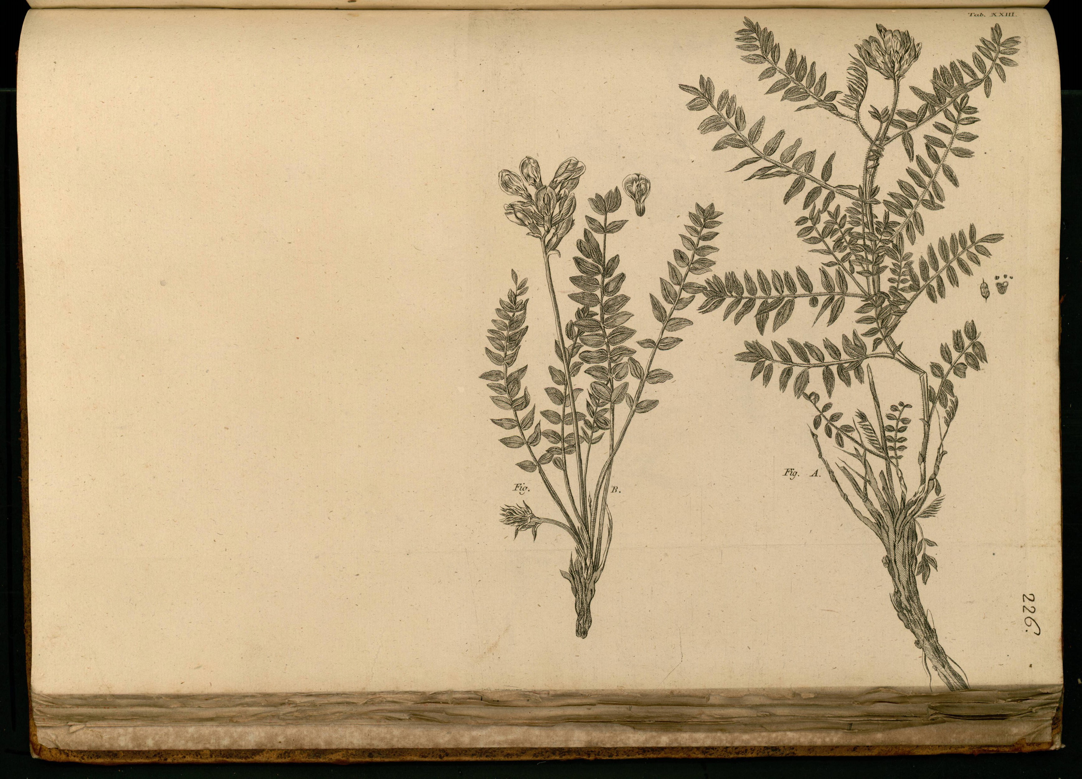 no full size  illustration available (3a)