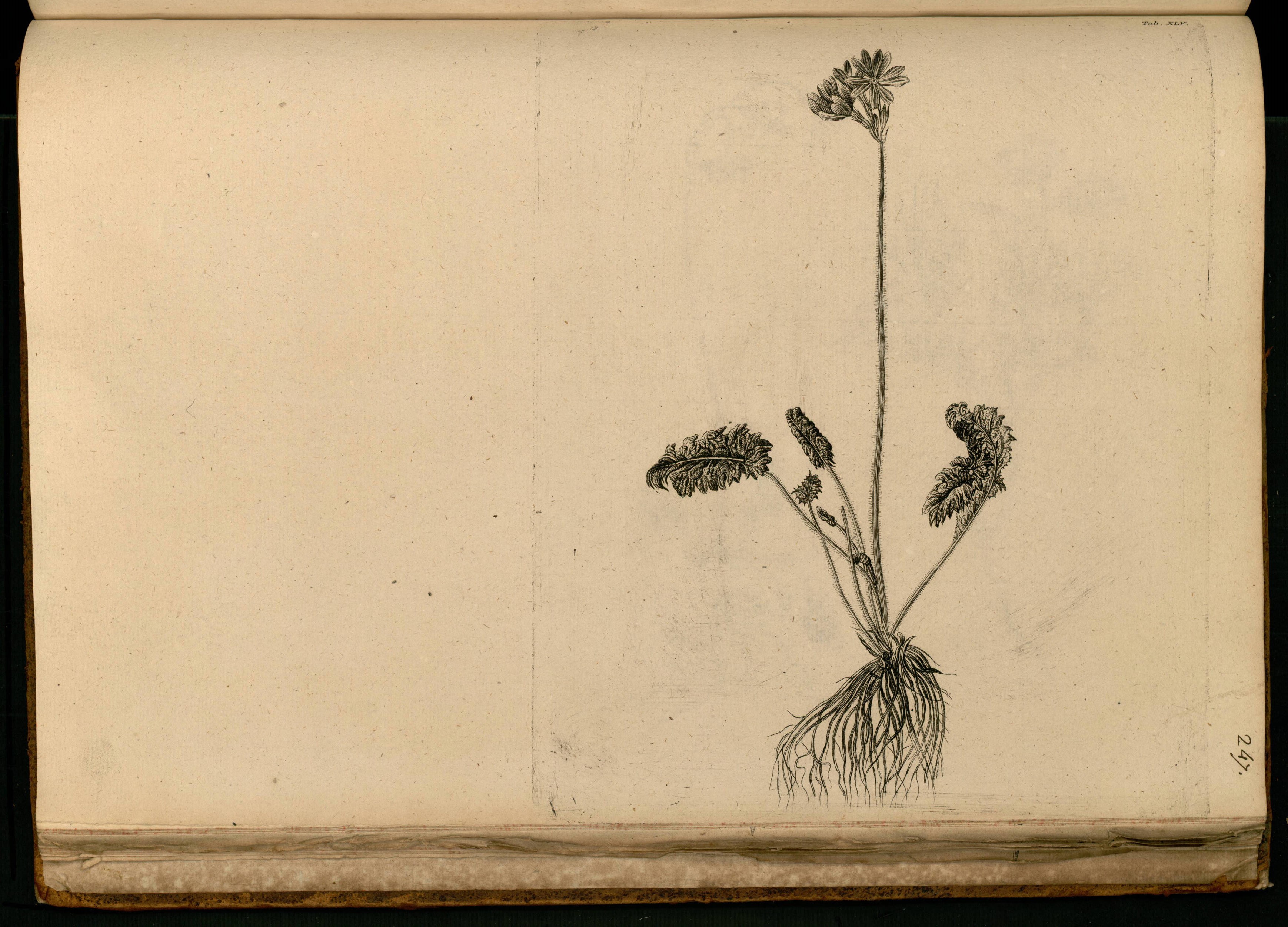 no full size  illustration available (3a)