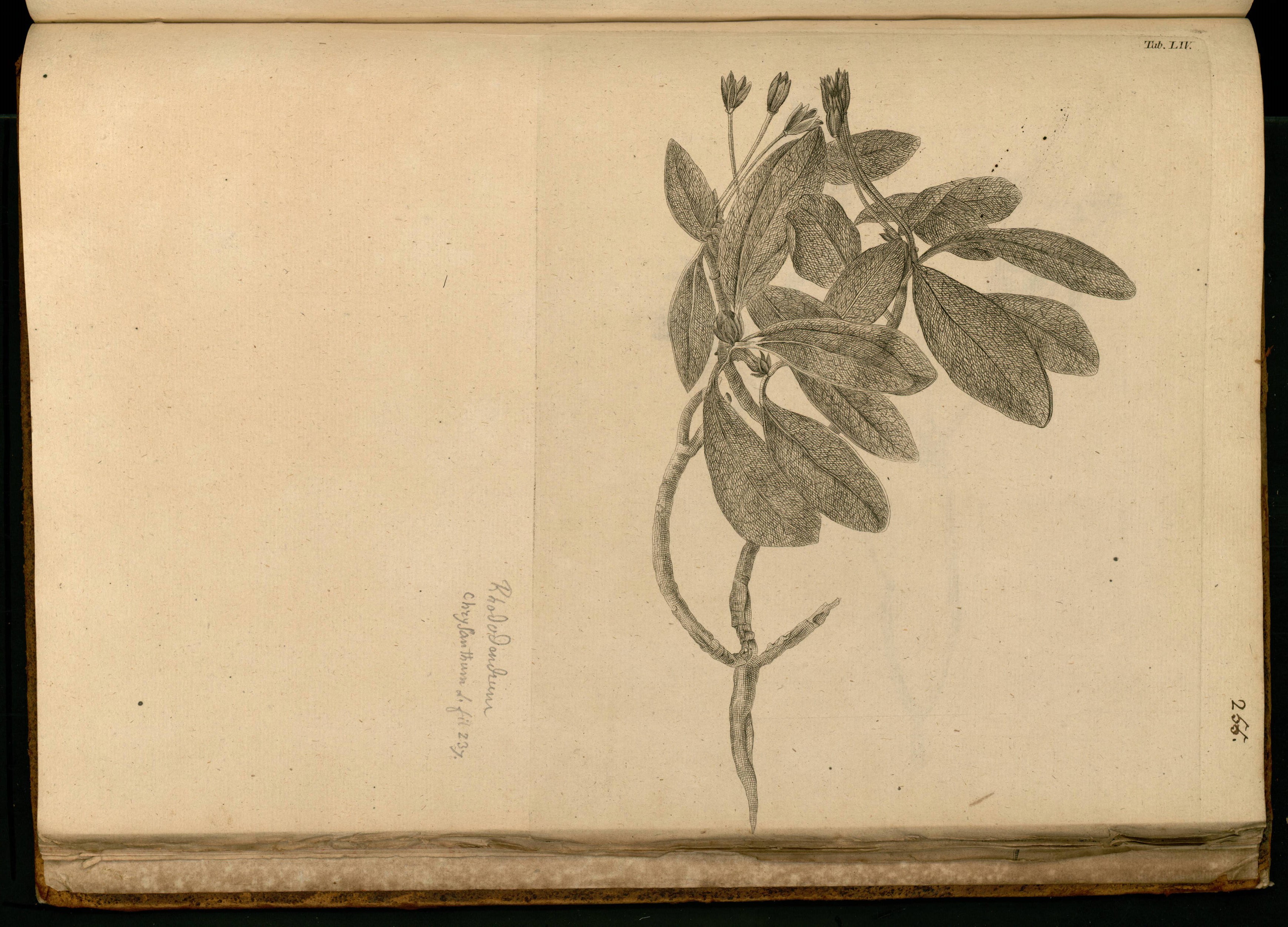 no full size  illustration available (3a)