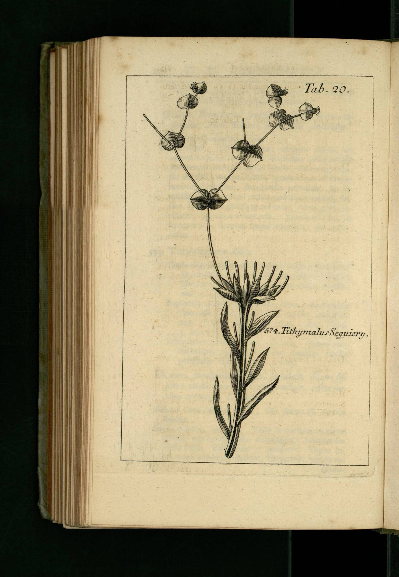 no full size  illustration available (3a)