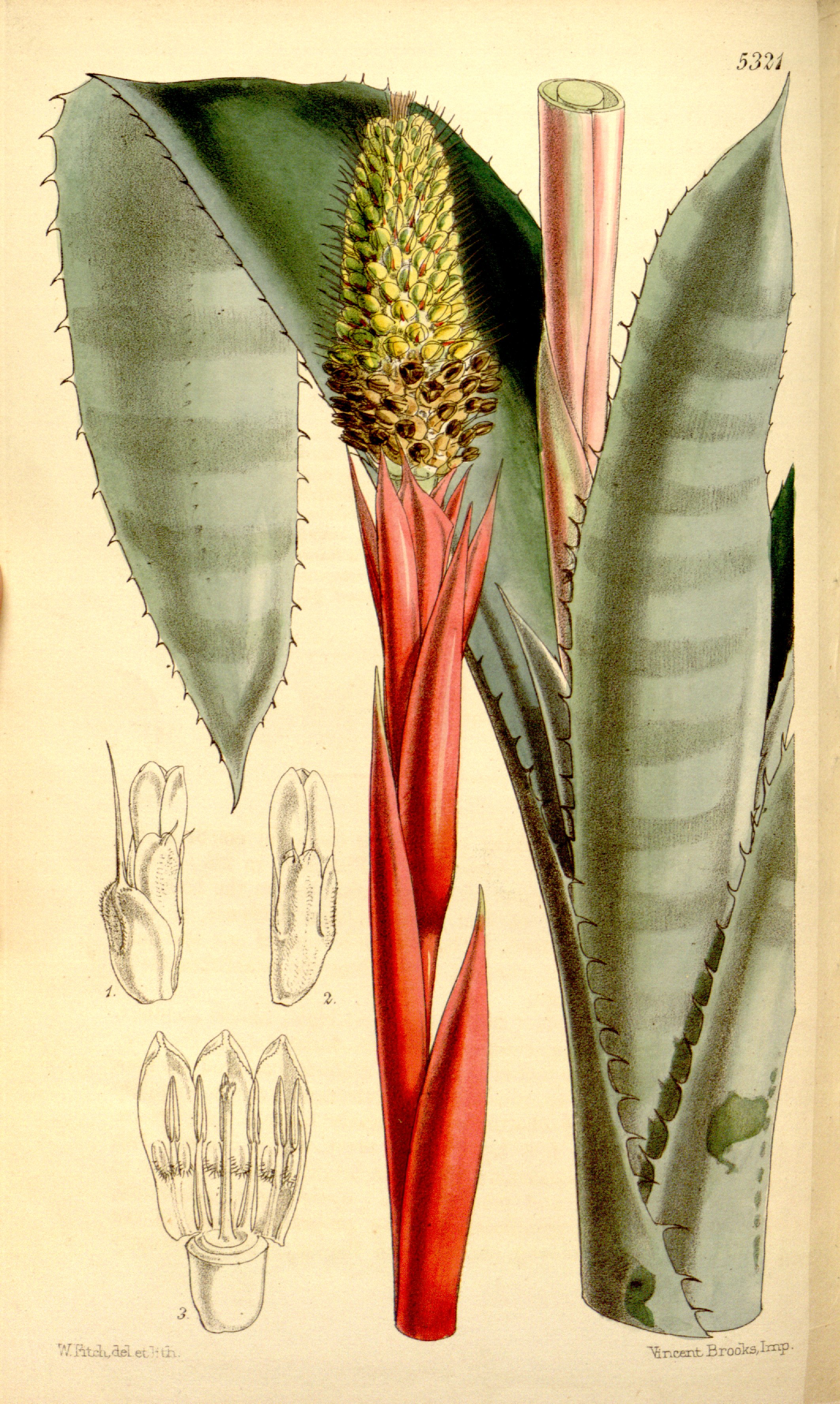 no full size  illustration available (3a)