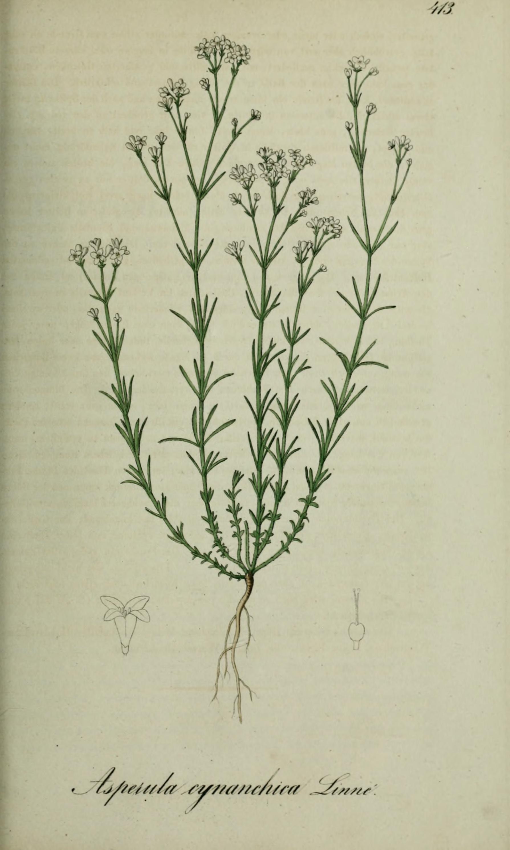 no full size  illustration available (3a)