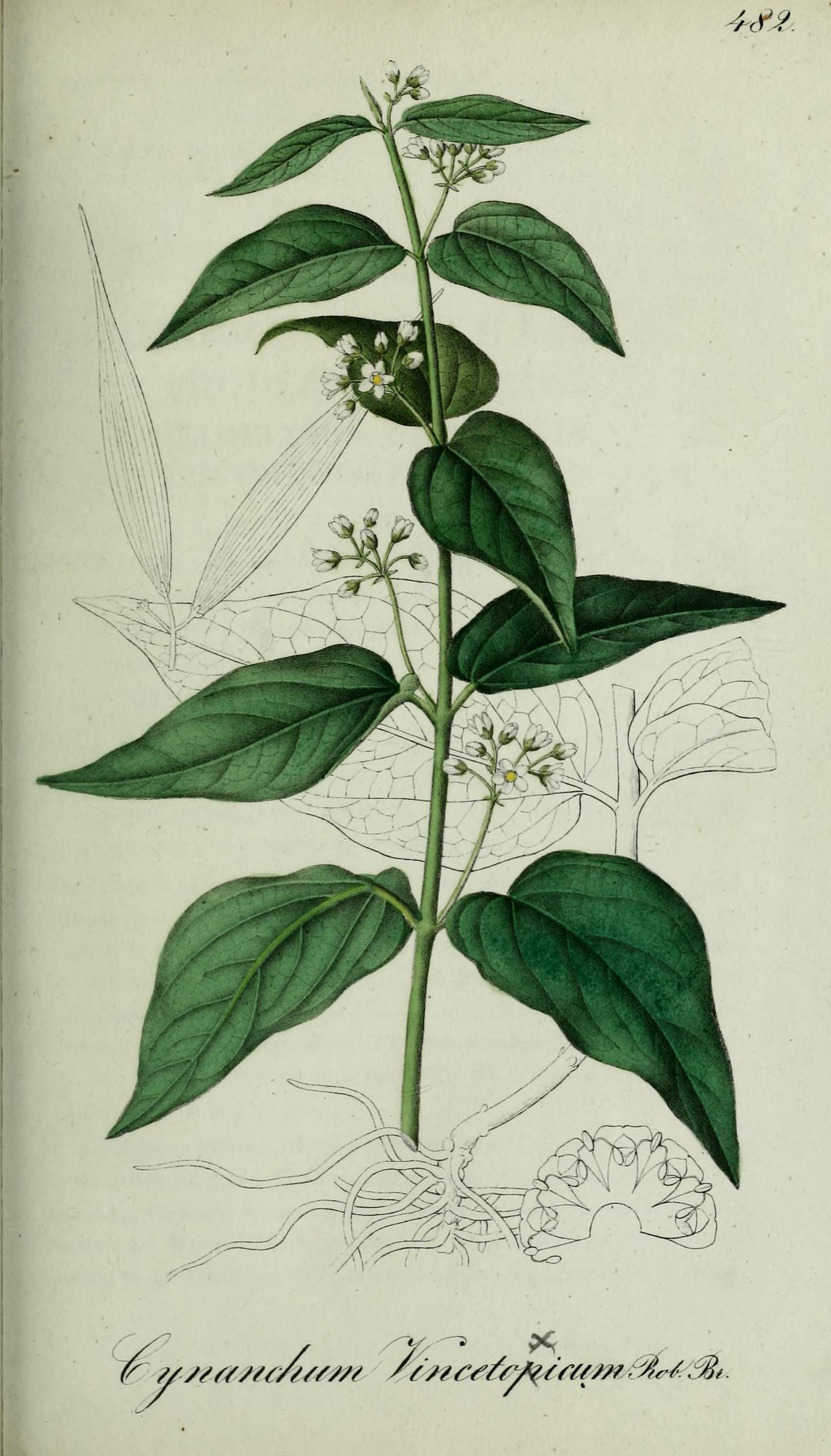 no full size  illustration available (3a)