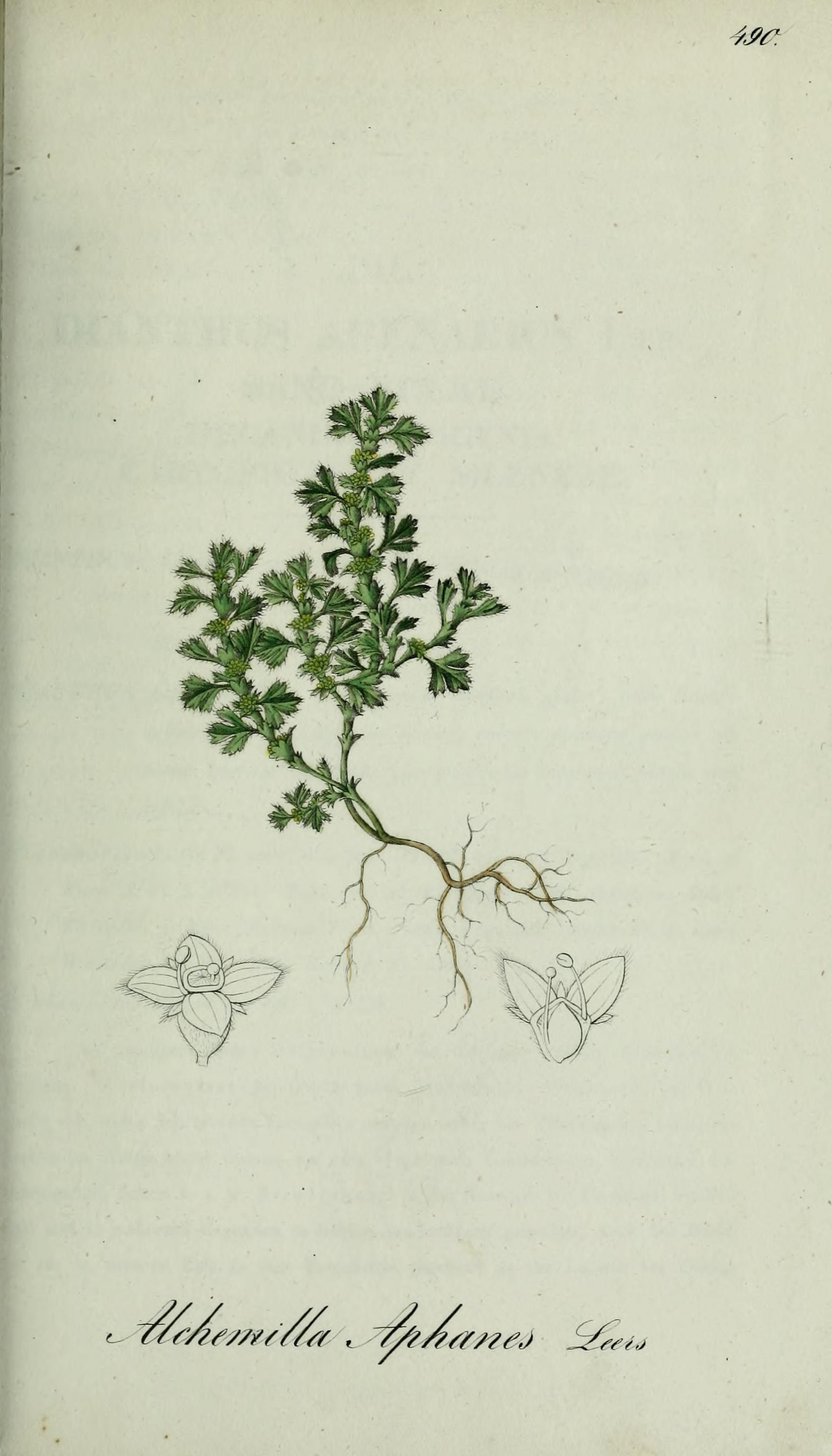 no full size  illustration available (3a)