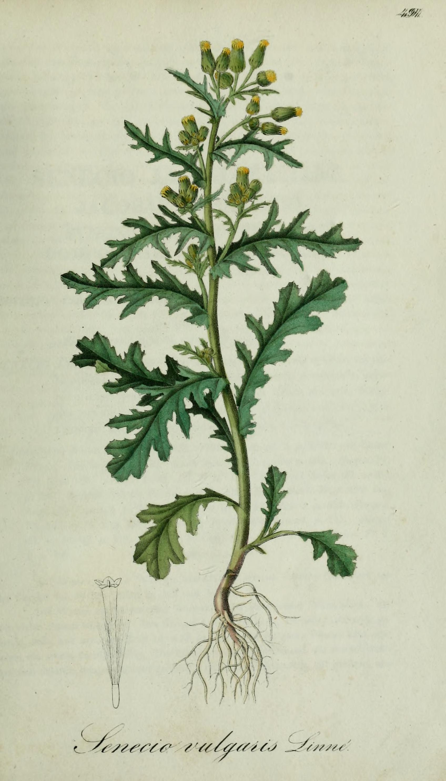 no full size  illustration available (3a)