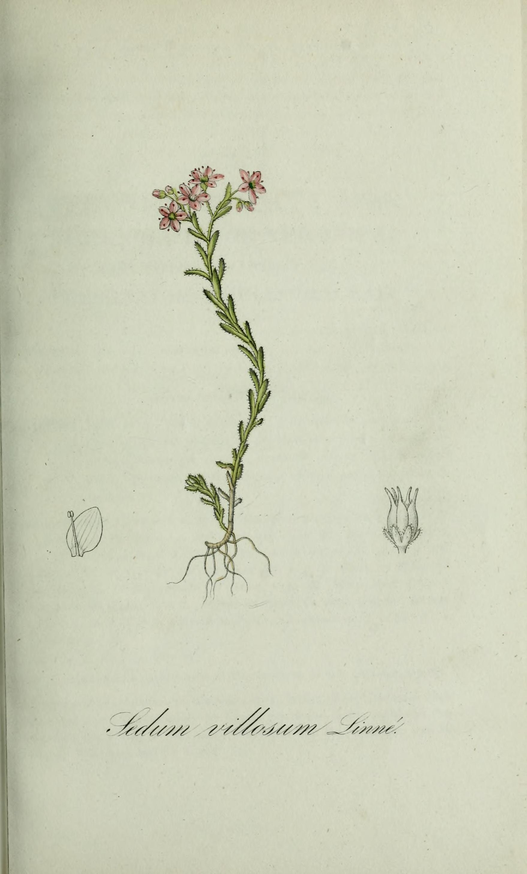 no full size  illustration available (3a)