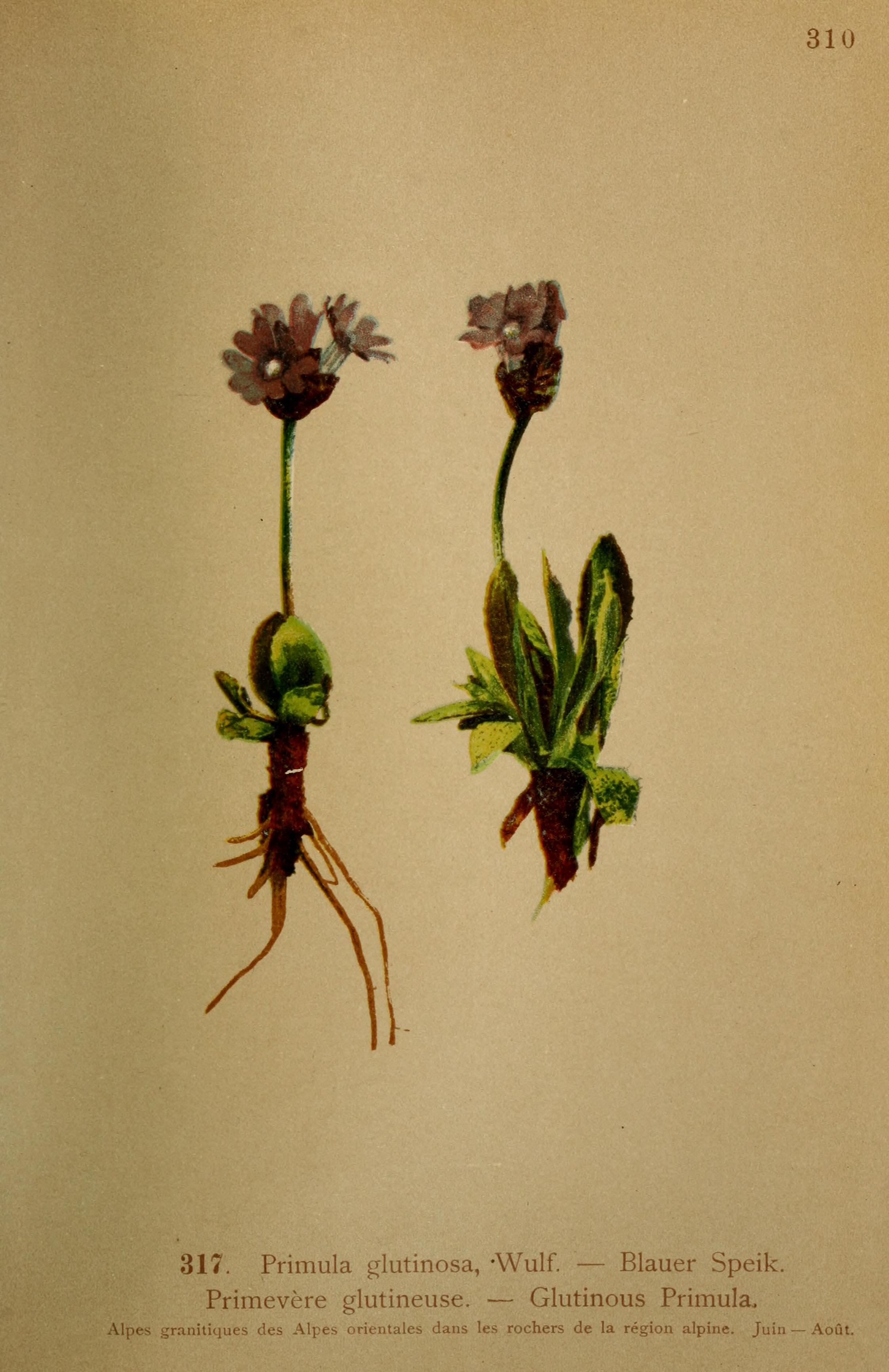 no full size  illustration available (3a)