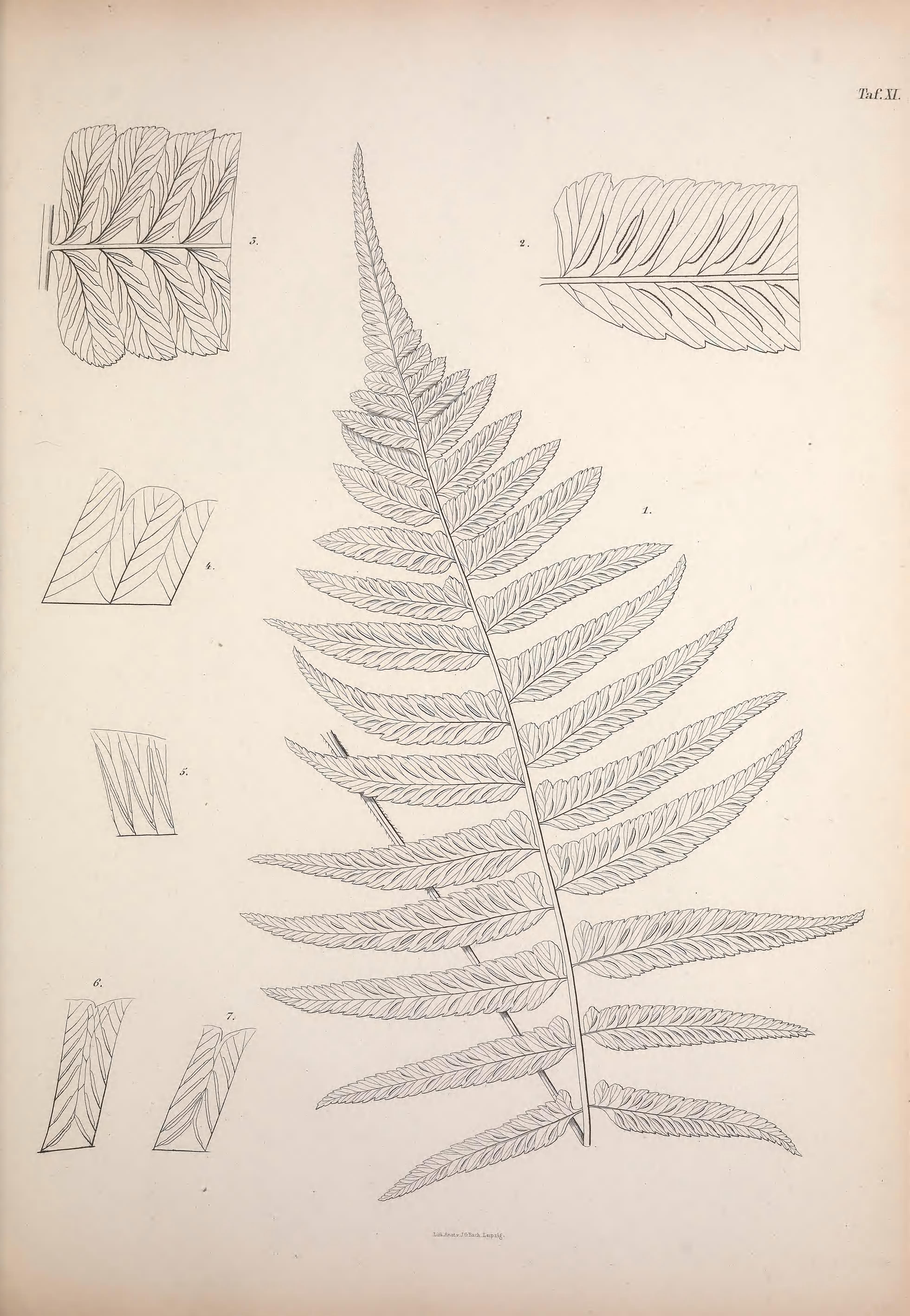 no full size  illustration available (3a)