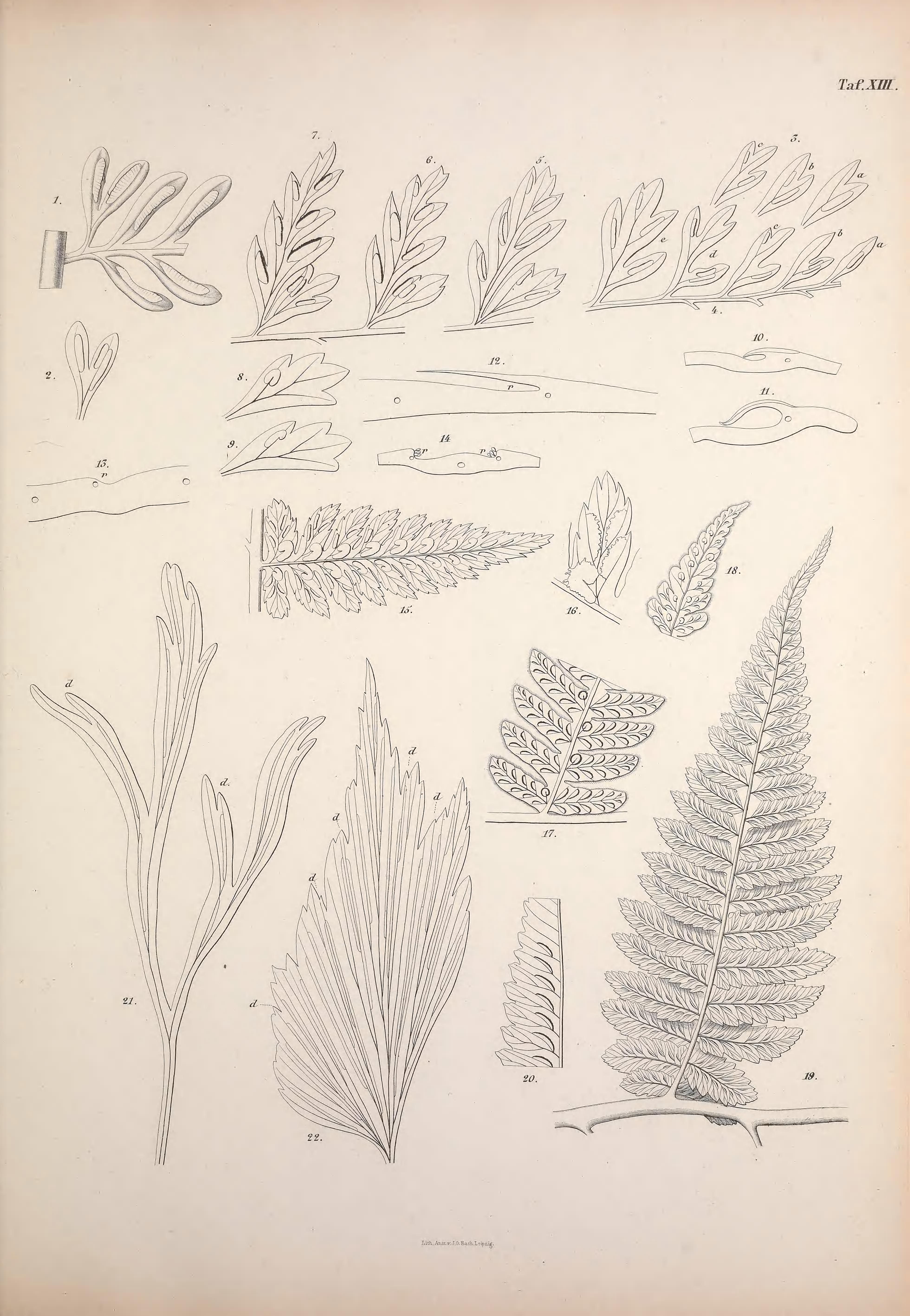 no full size  illustration available (3a)