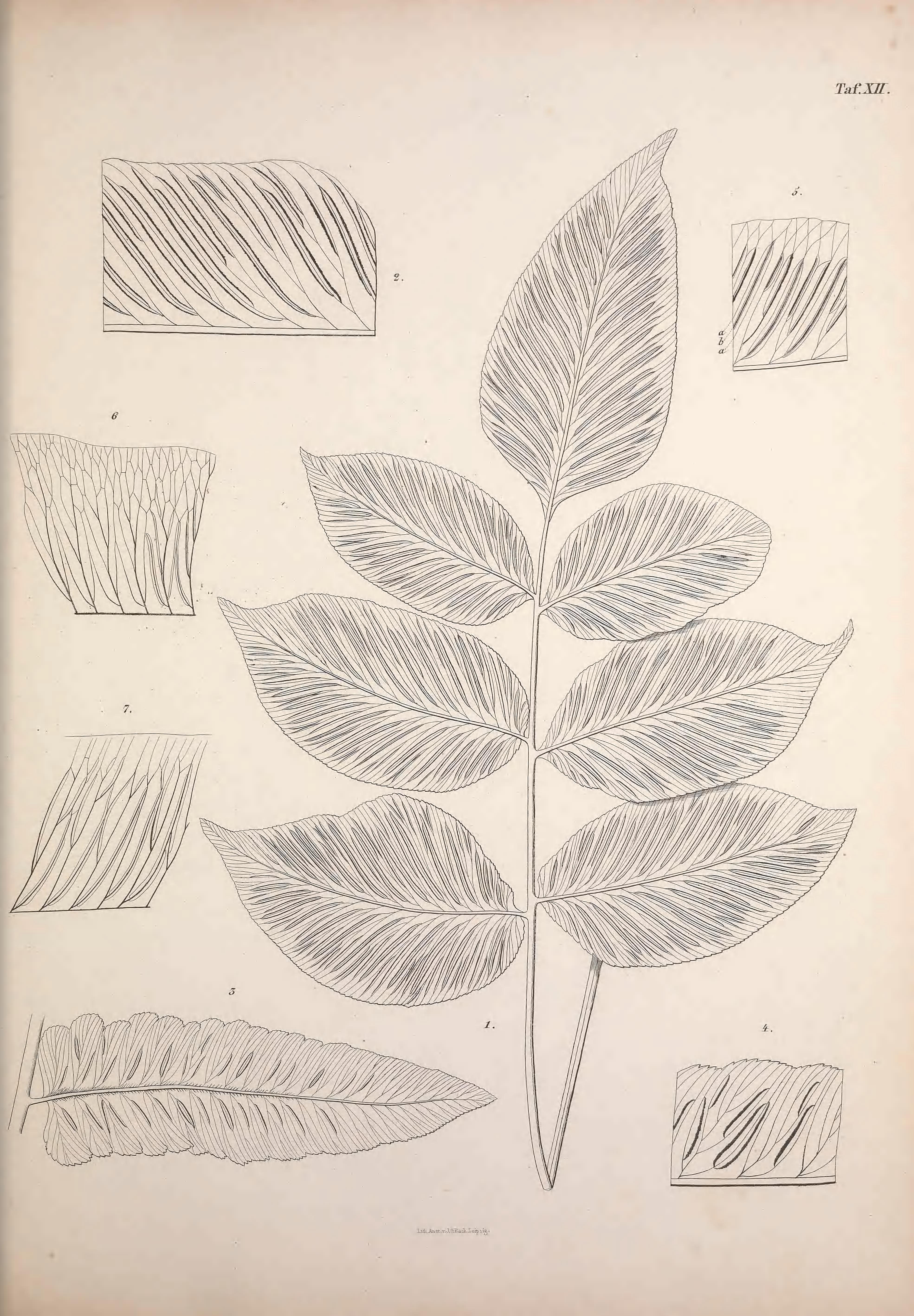 no full size  illustration available (3a)