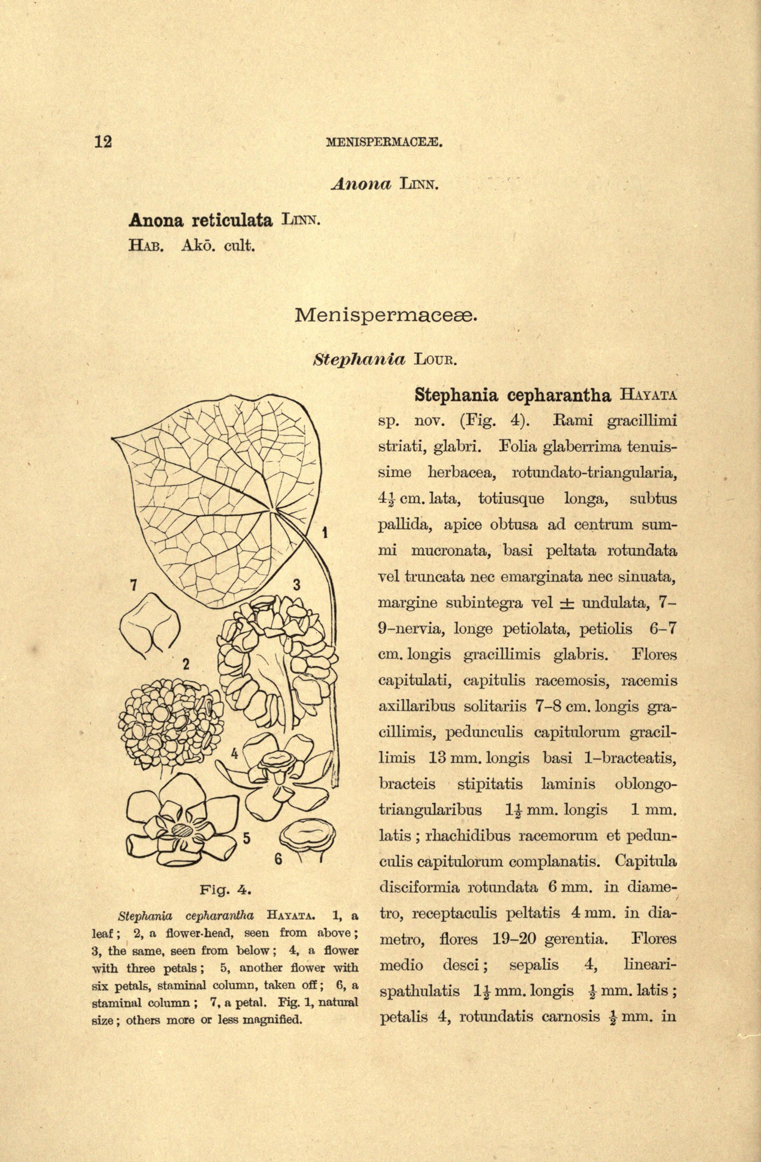 no full size  illustration available (3a)