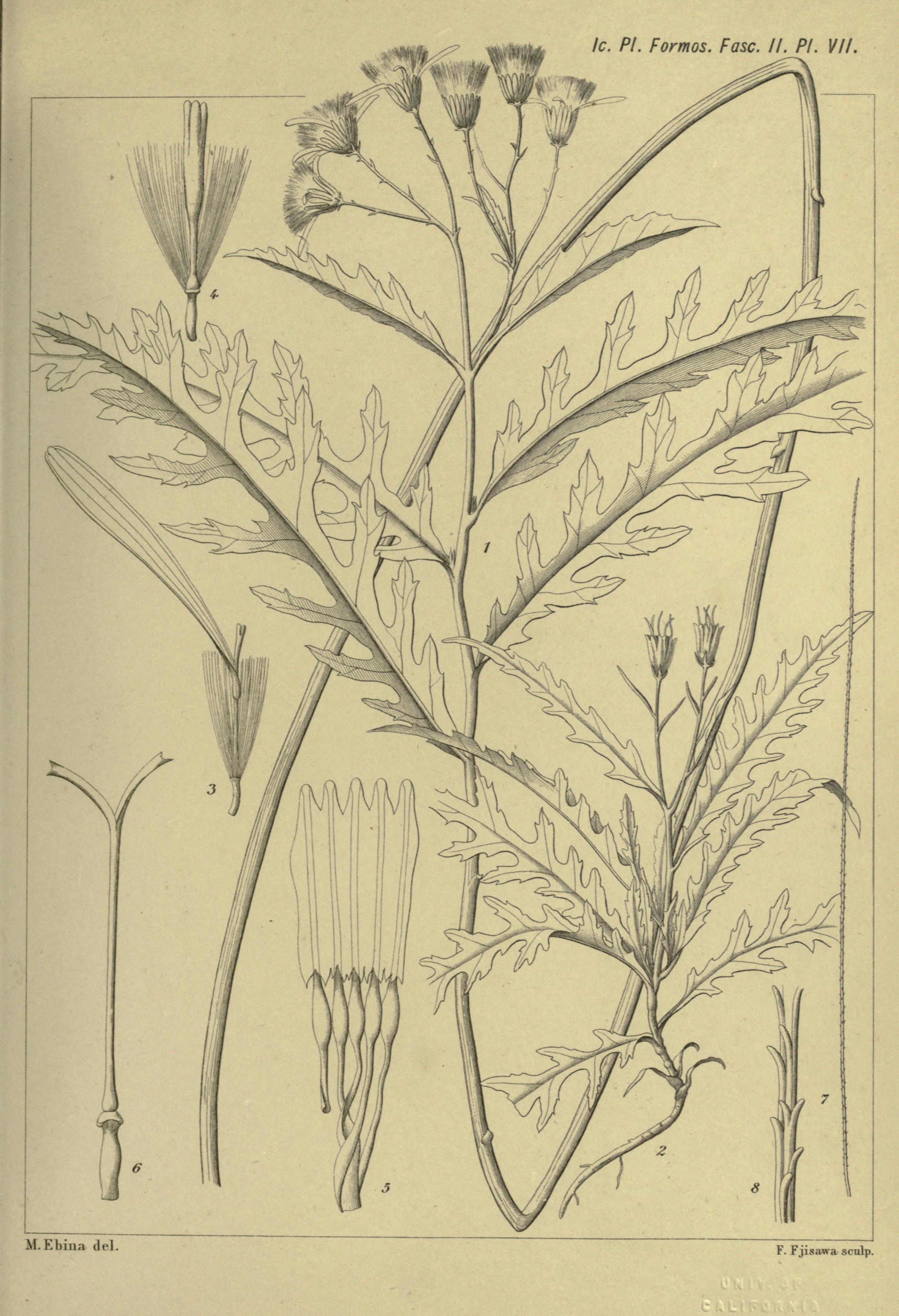 no full size  illustration available (3a)