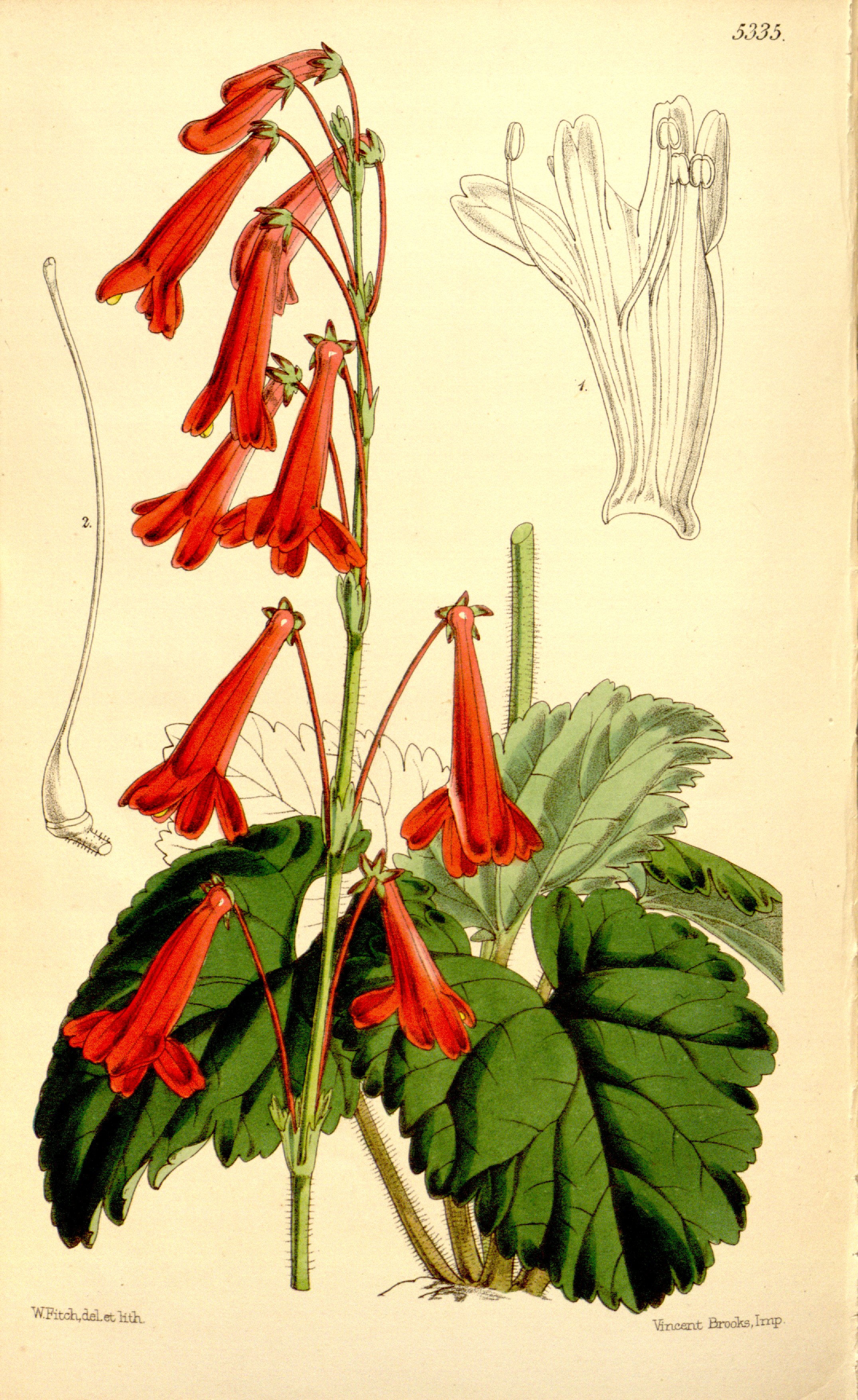 no full size  illustration available (3a)