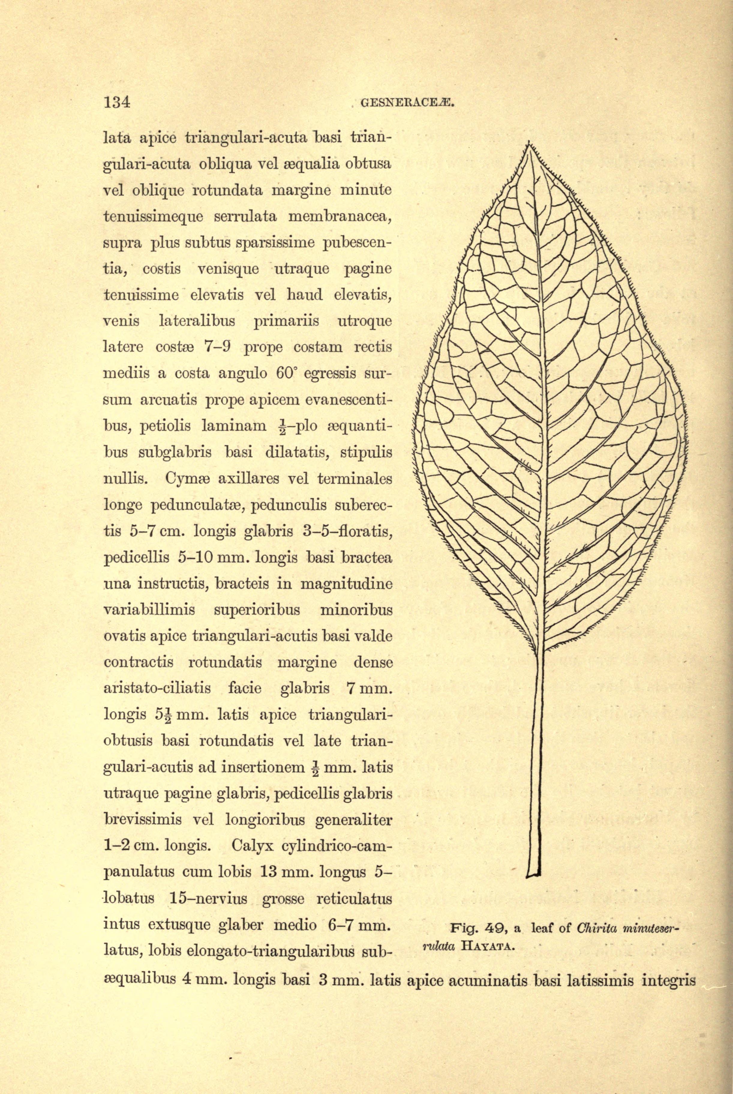 no full size  illustration available (3a)