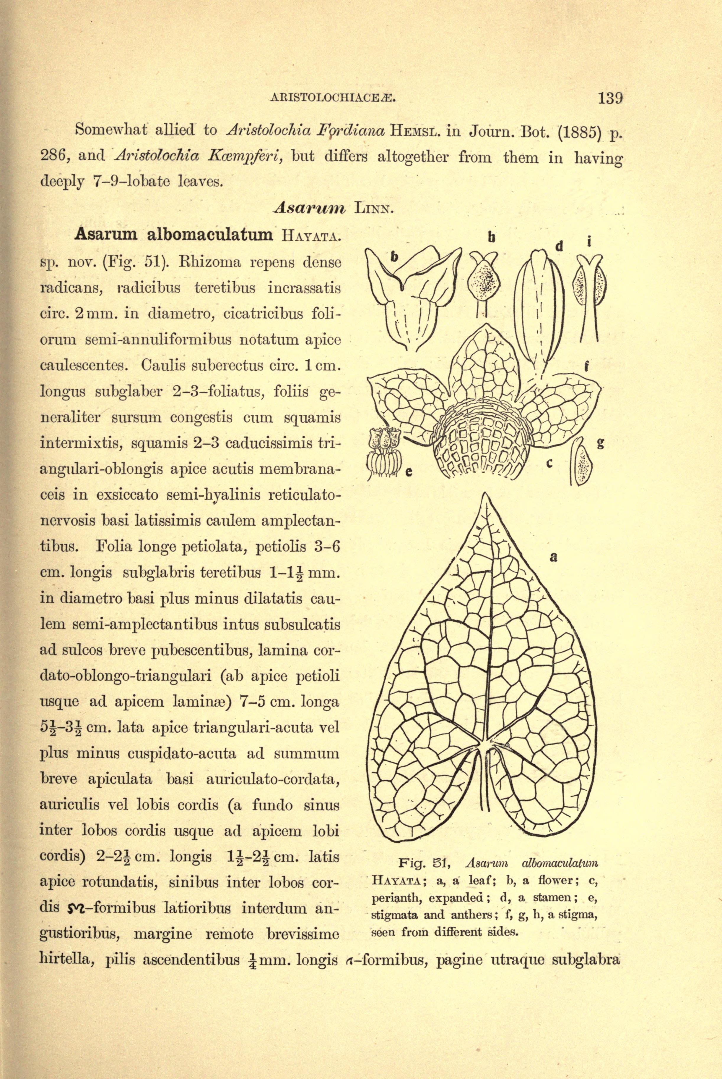 no full size  illustration available (3a)