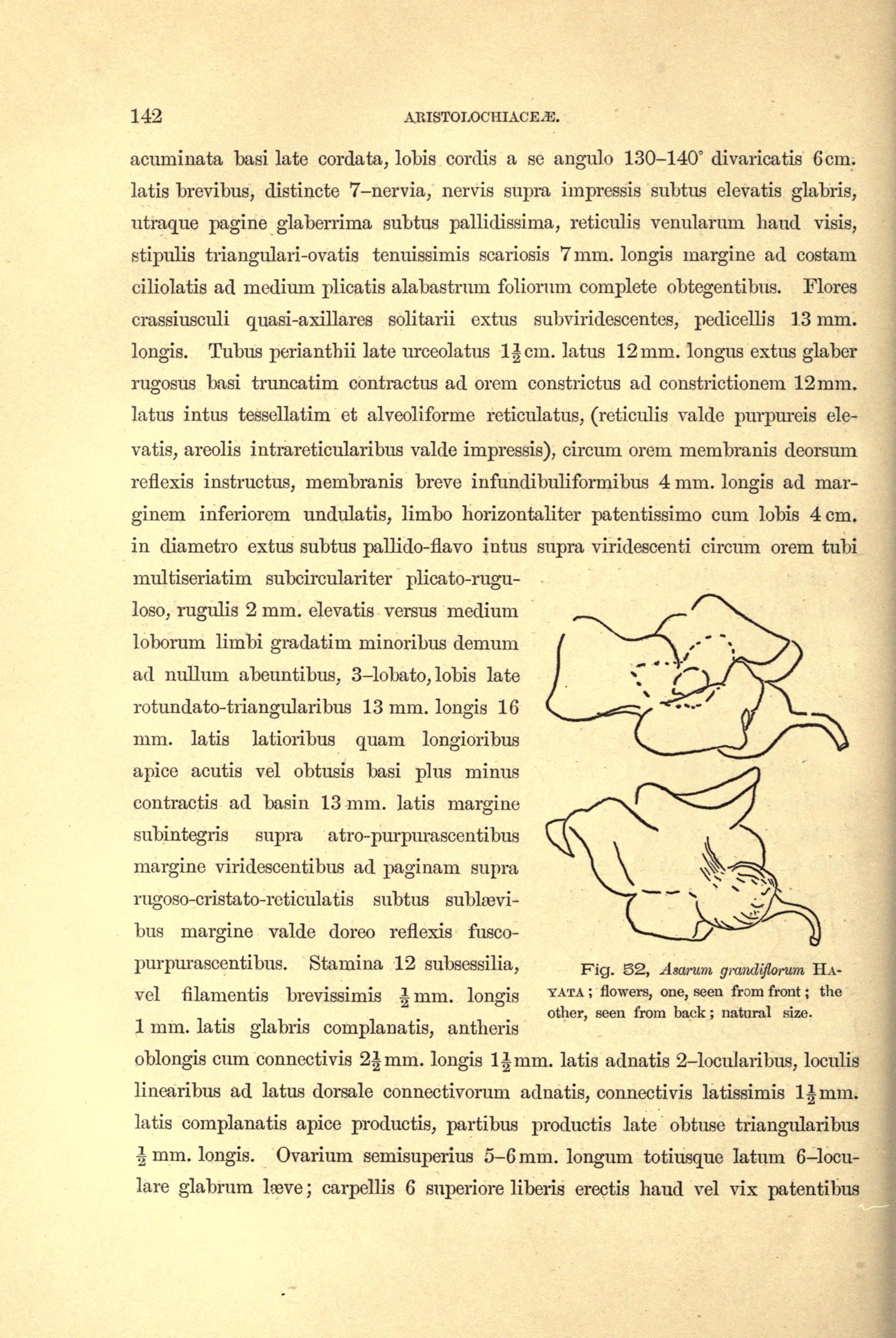 no full size  illustration available (3a)