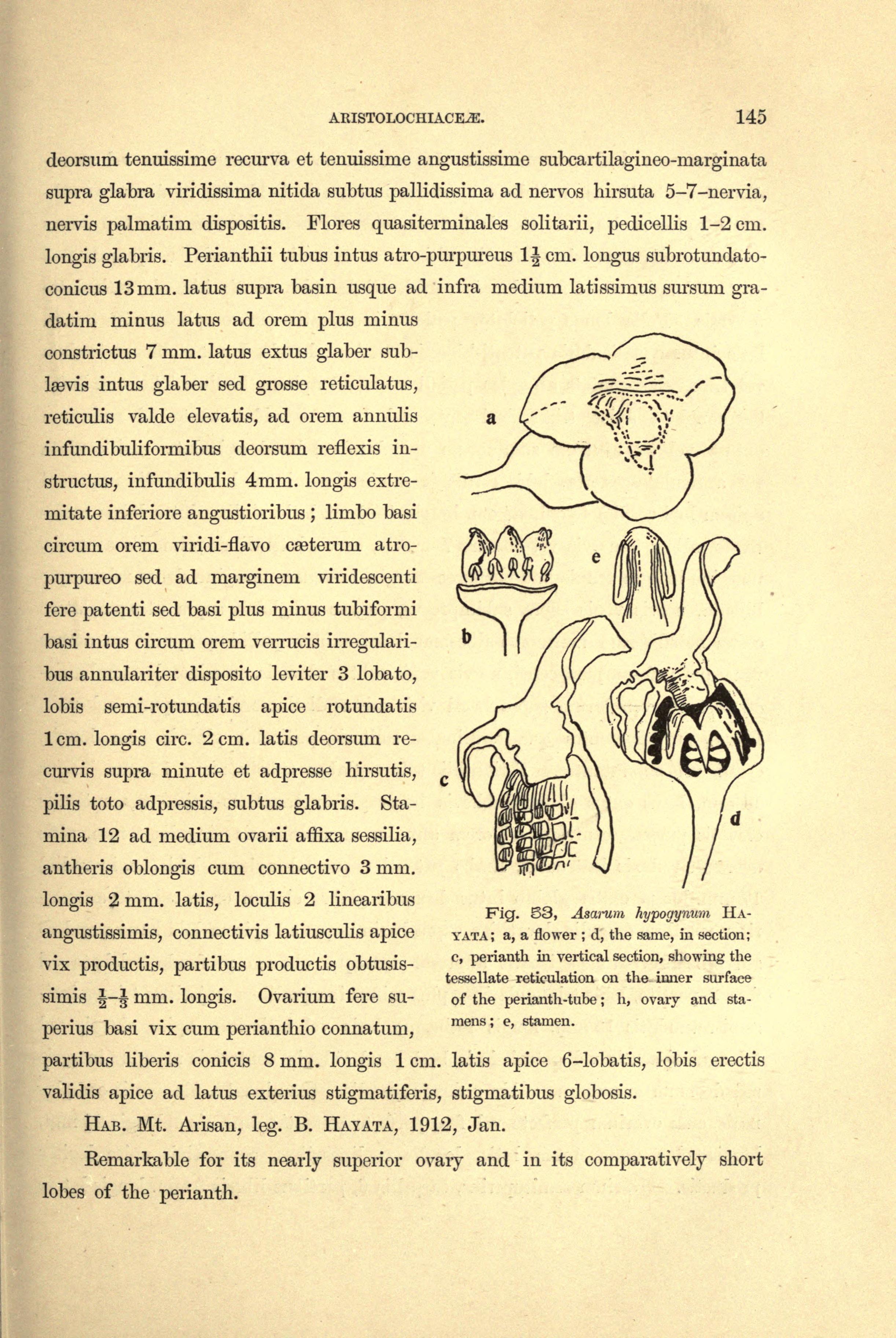 no full size  illustration available (3a)