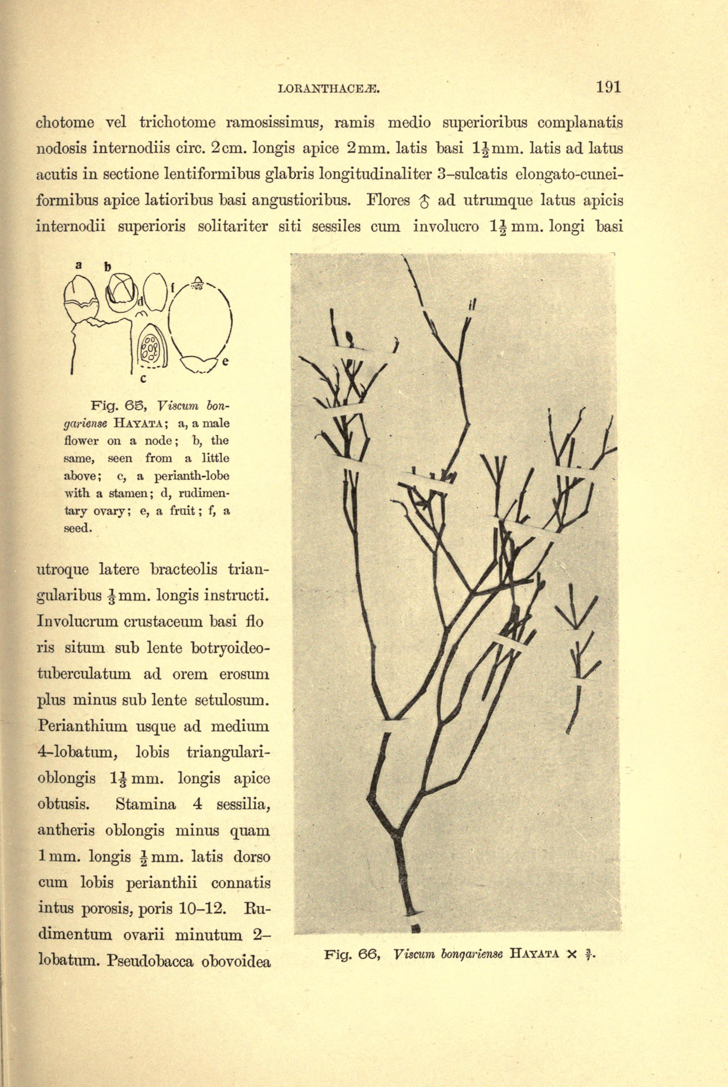 no full size  illustration available (3a)