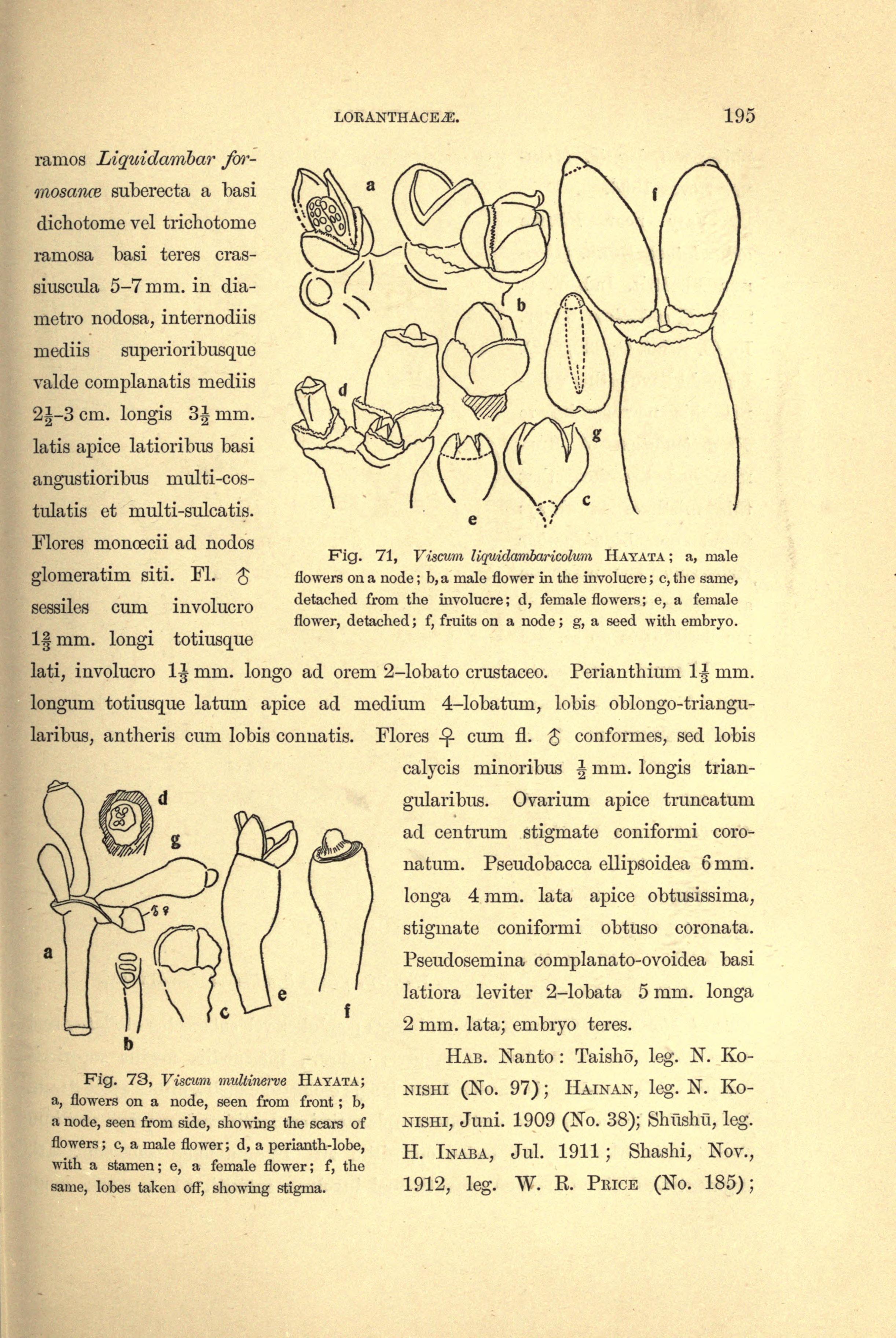 no full size  illustration available (3a)