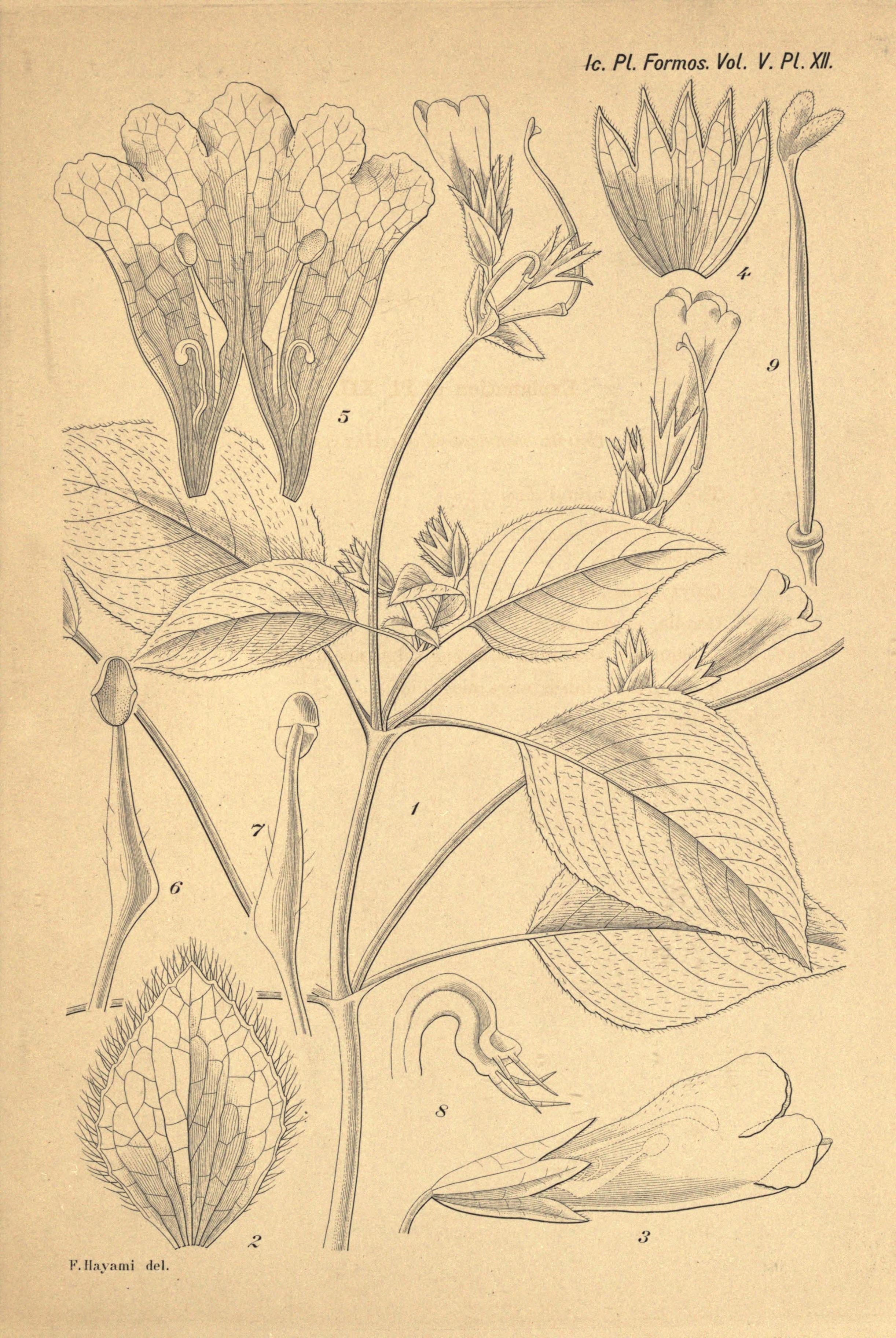 no full size  illustration available (3a)