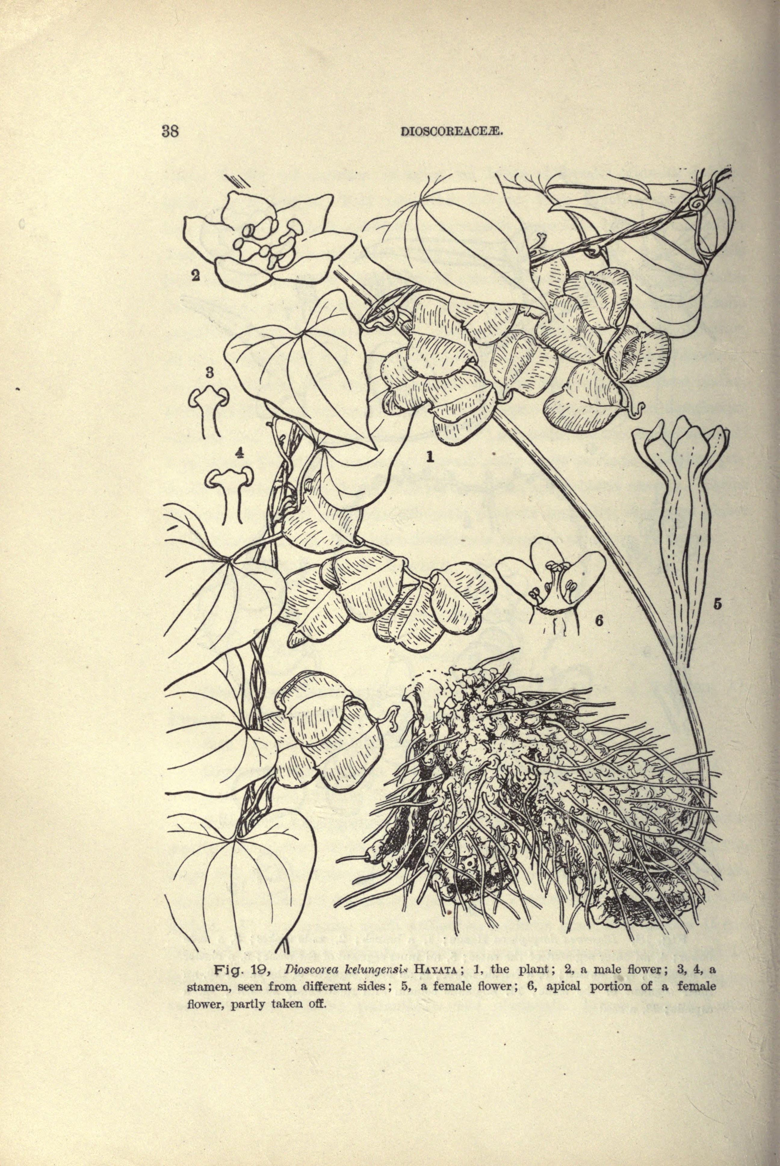 no full size  illustration available (3a)