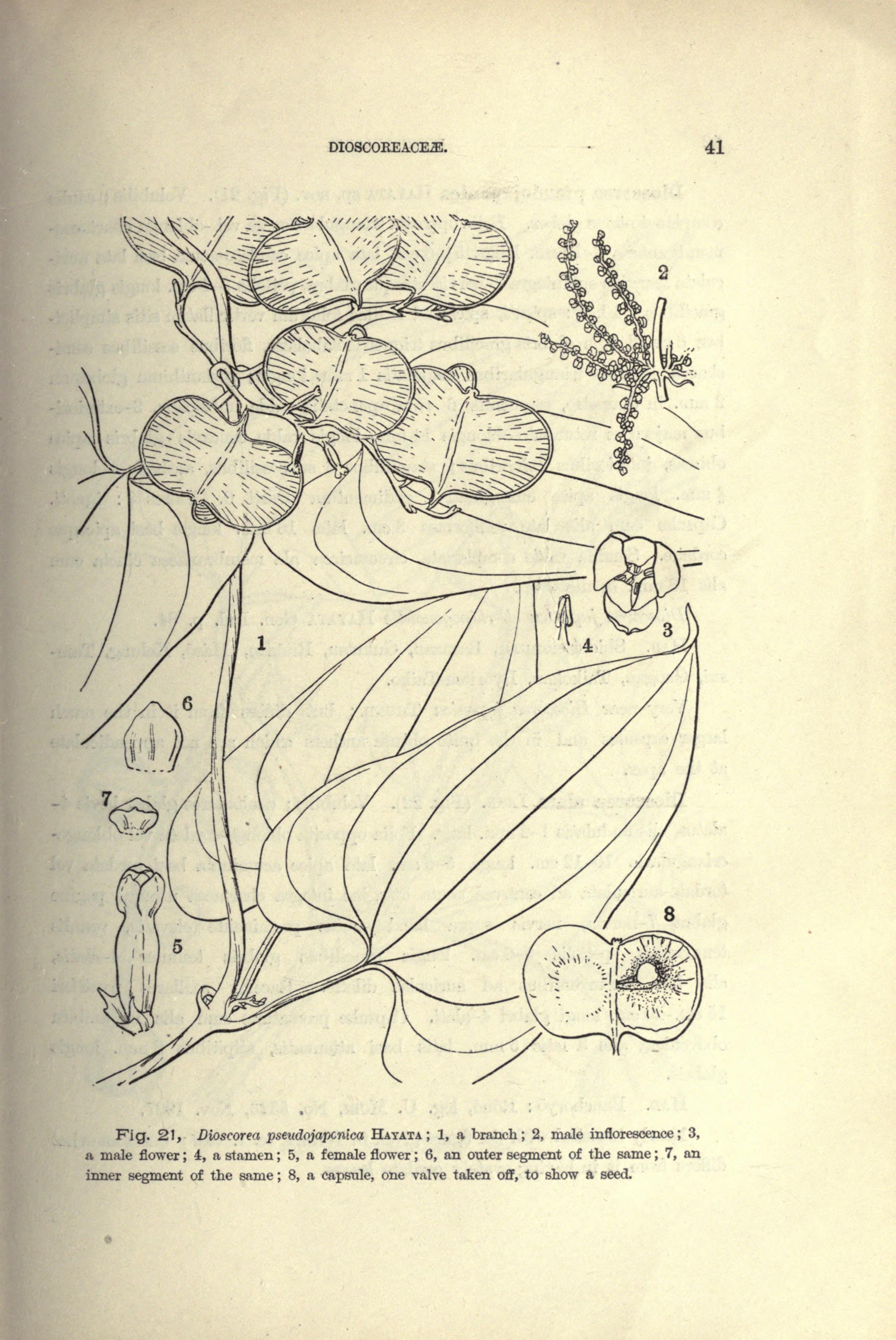 no full size  illustration available (3a)