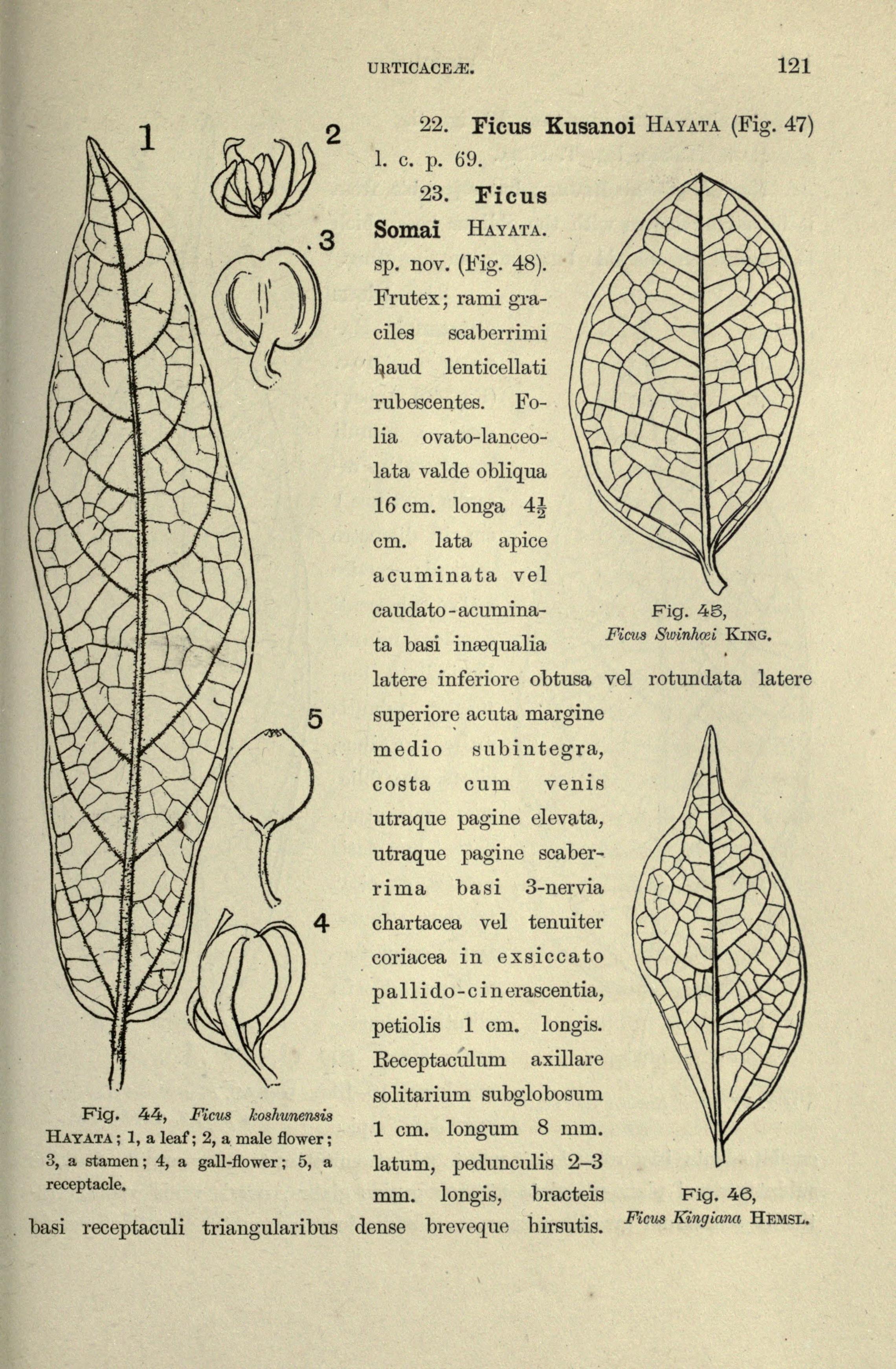 no full size  illustration available (3a)