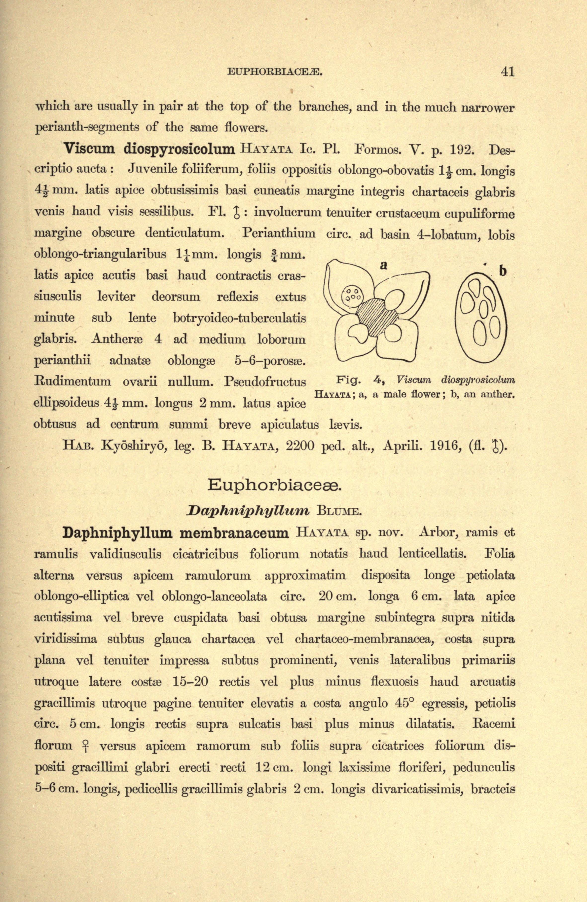 no full size  illustration available (3a)