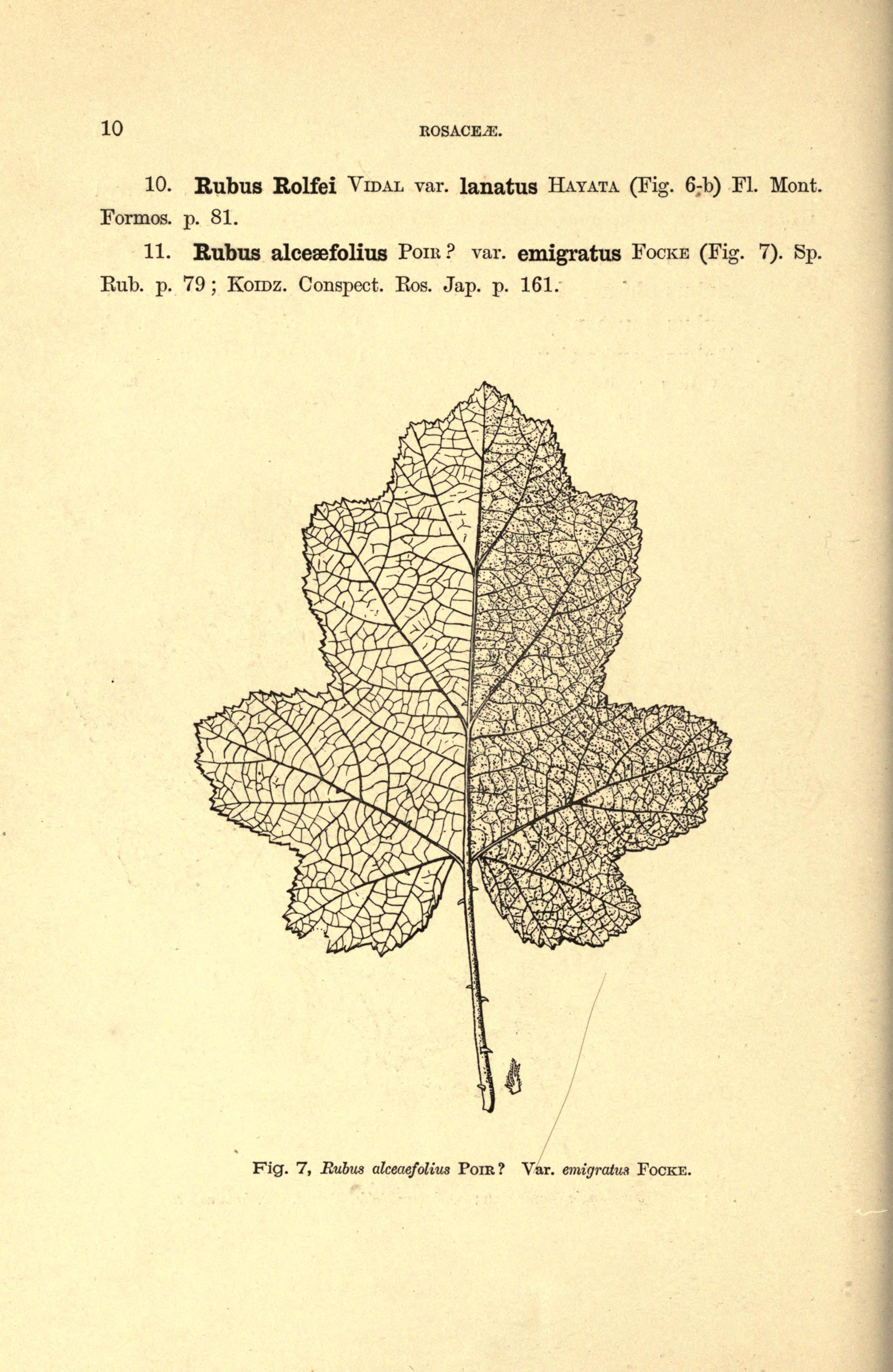 no full size  illustration available (3a)