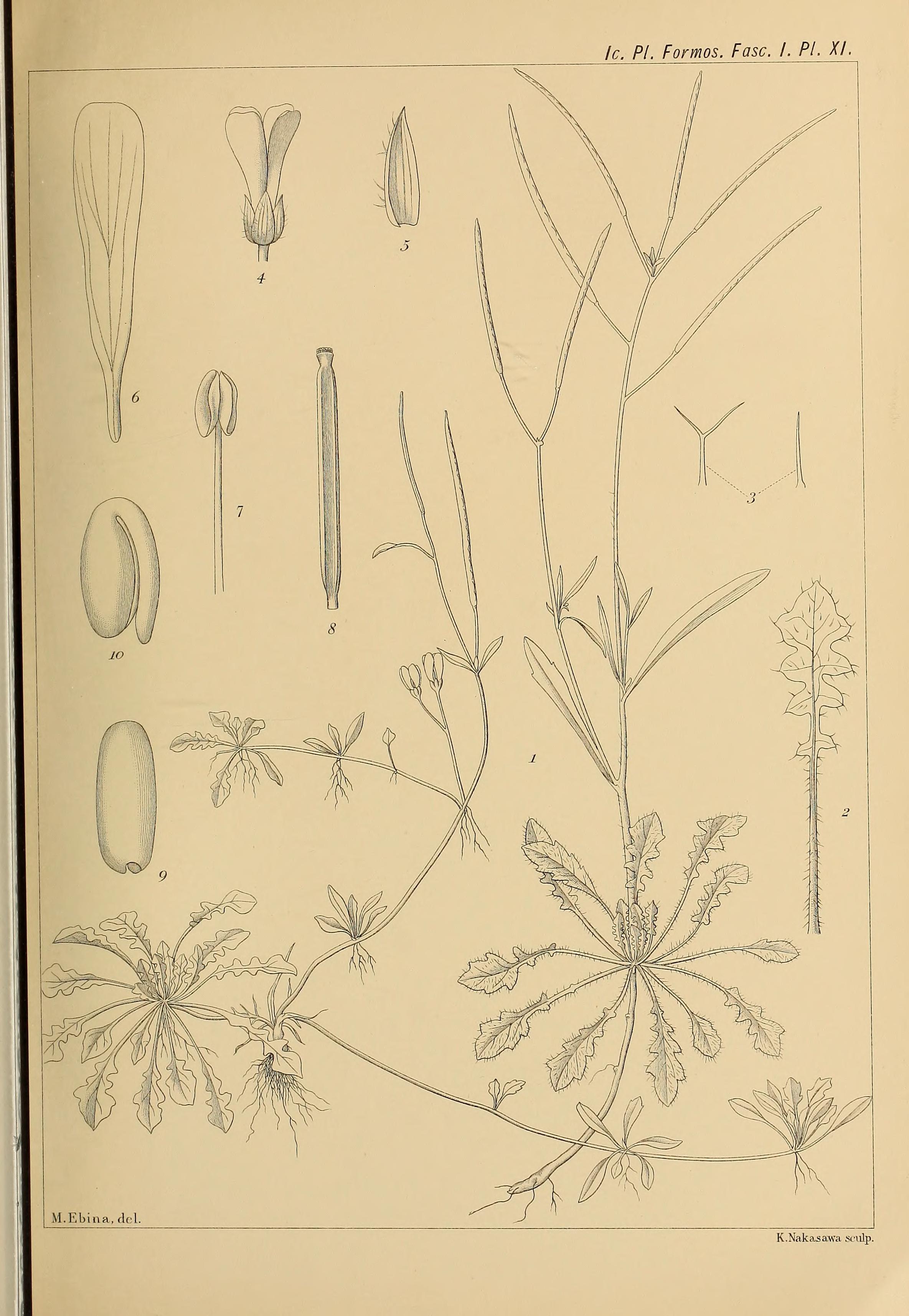 no full size  illustration available (3a)